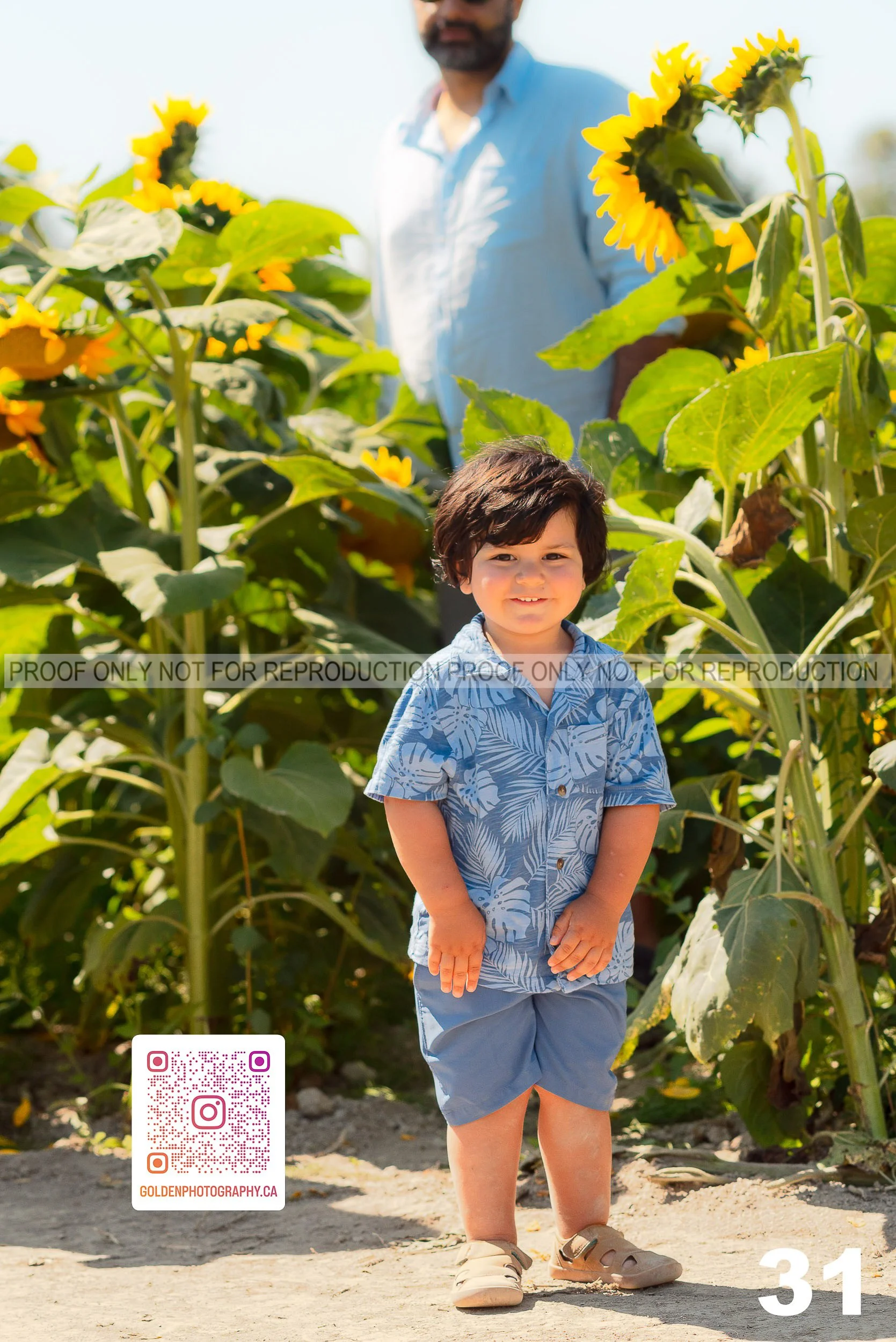 Sunflower Proofs (31 of 40).jpg