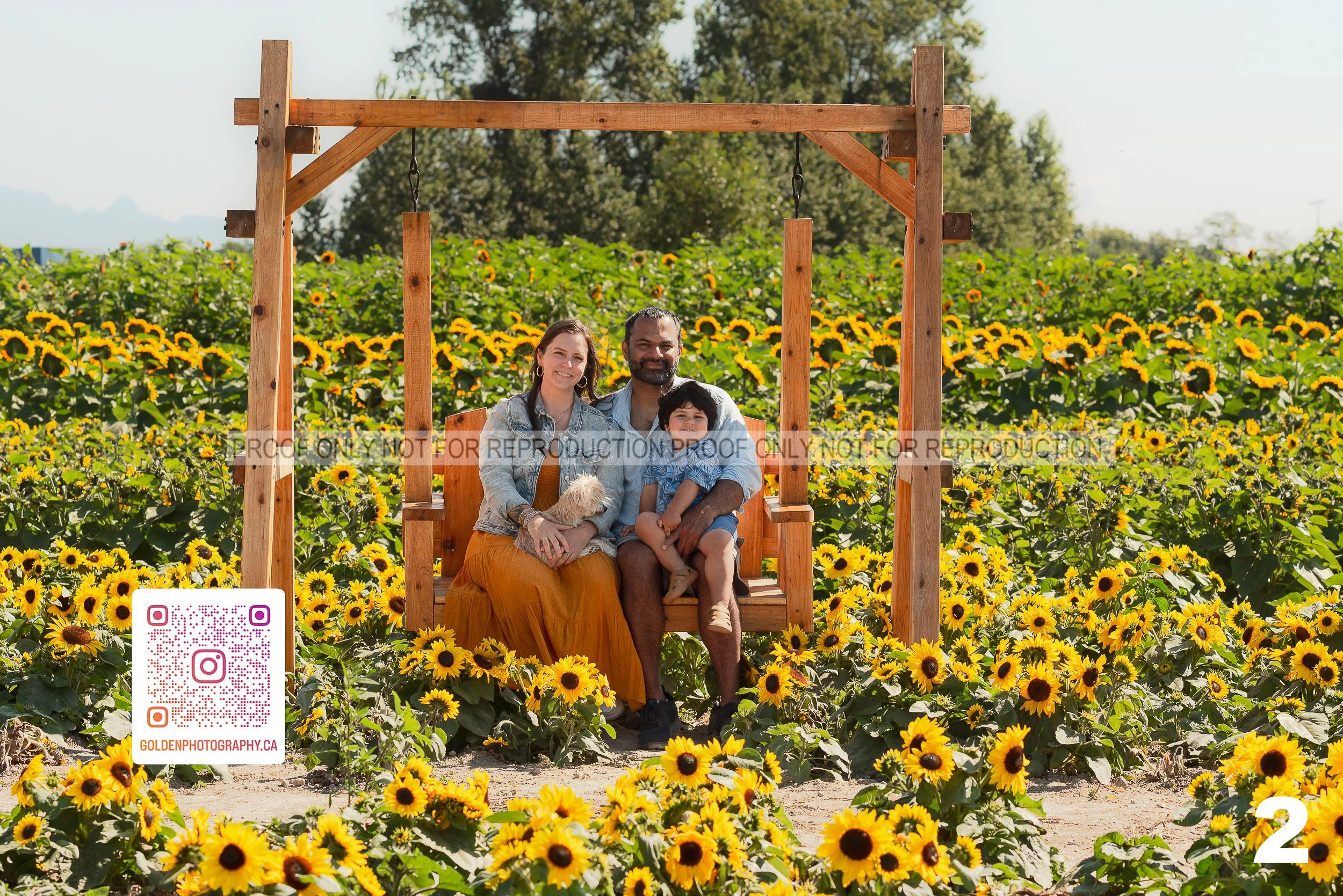 Sunflower Proofs (02 of 40).jpg