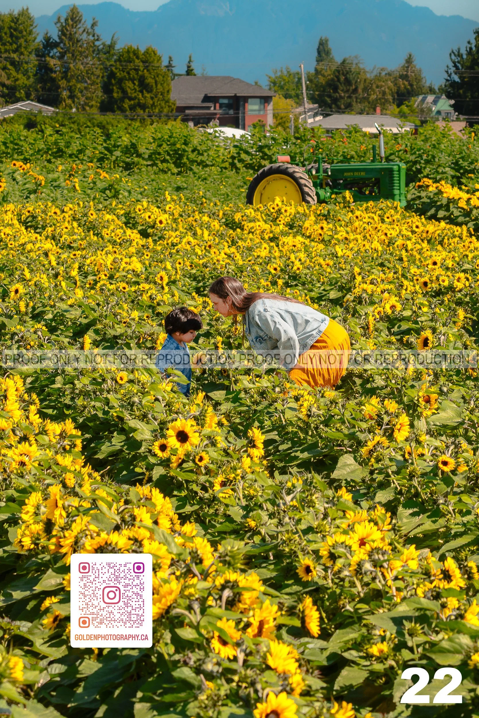Sunflower Proofs (22 of 40).jpg