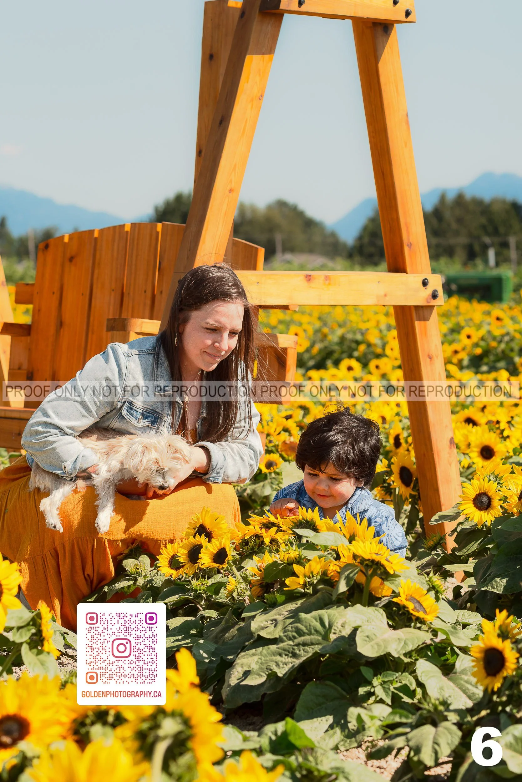 Sunflower Proofs (06 of 40).jpg