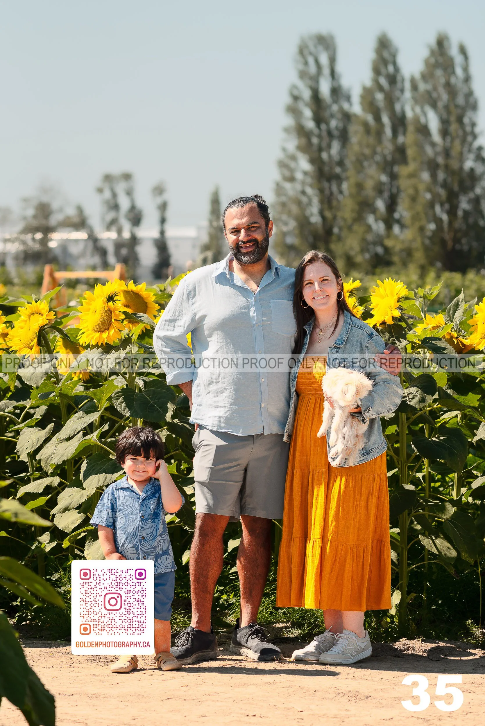 Sunflower Proofs (35 of 40).jpg