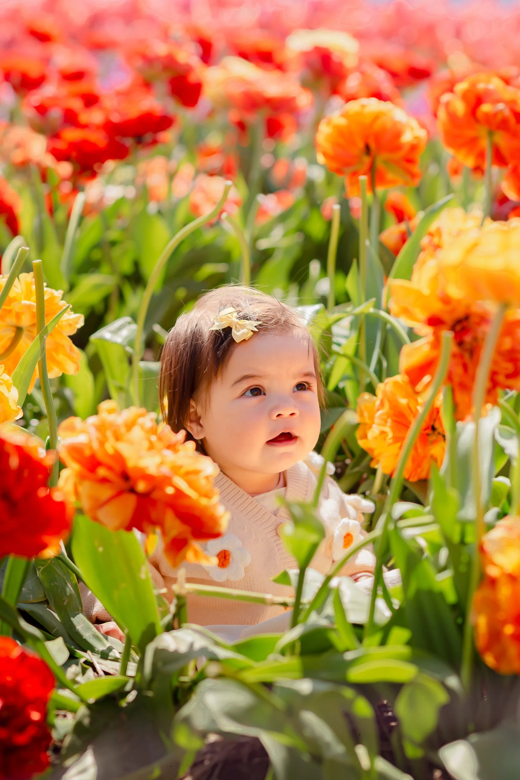 goldenphotography (2 of 3).jpg