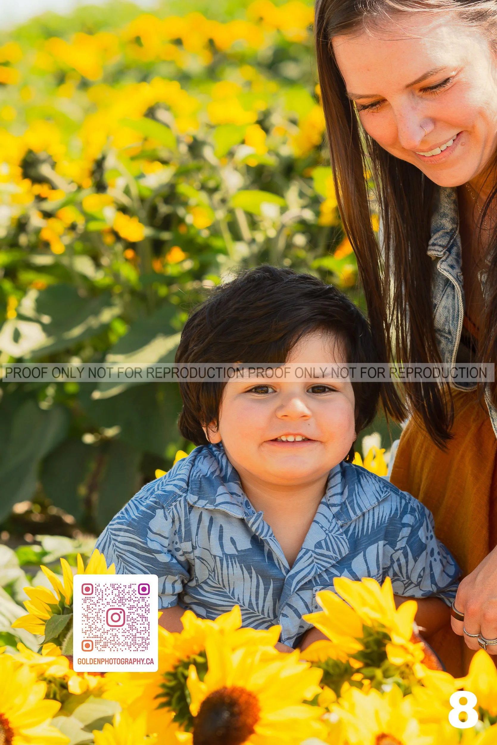Sunflower Proofs (08 of 40).jpg