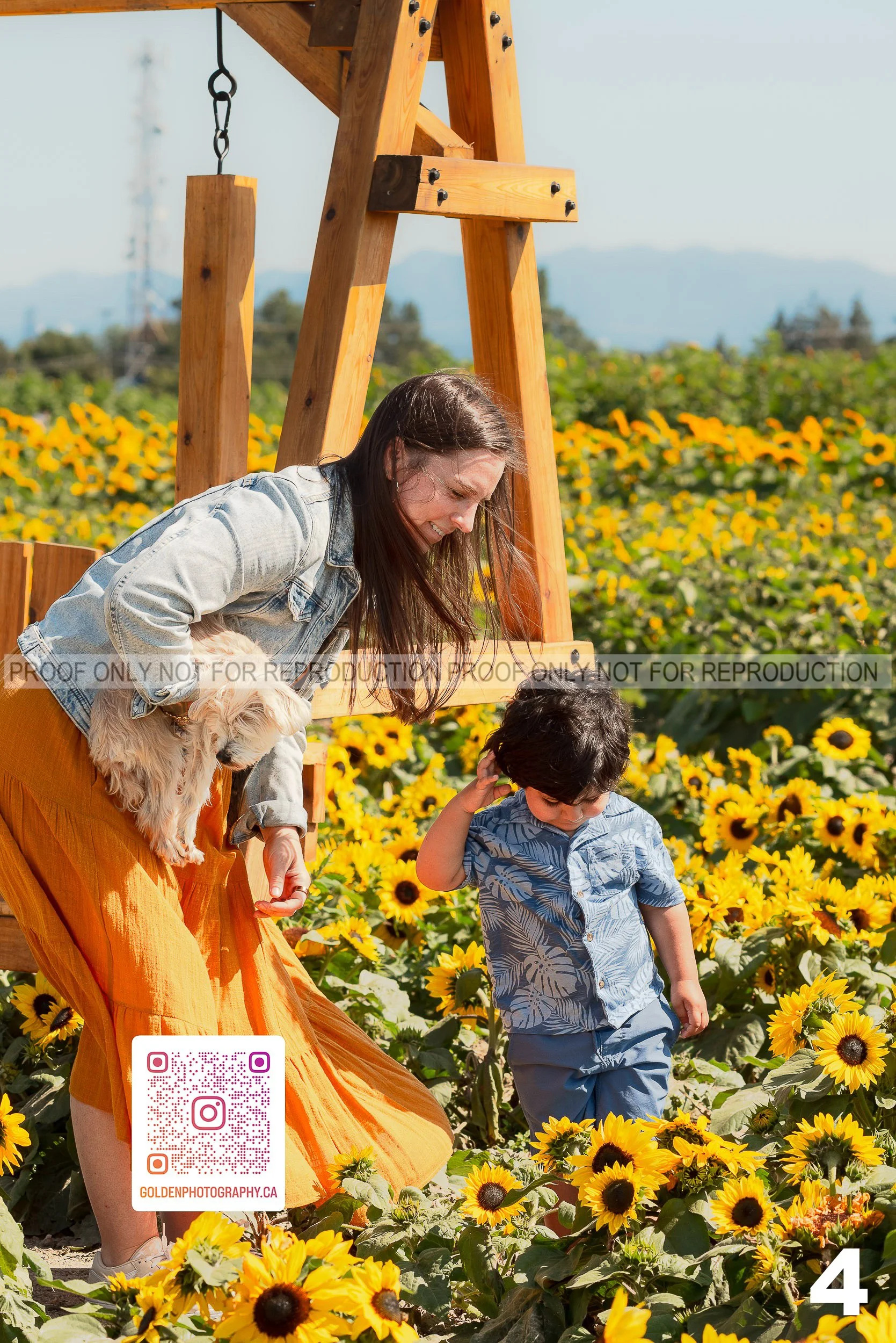 Sunflower Proofs (04 of 40).jpg