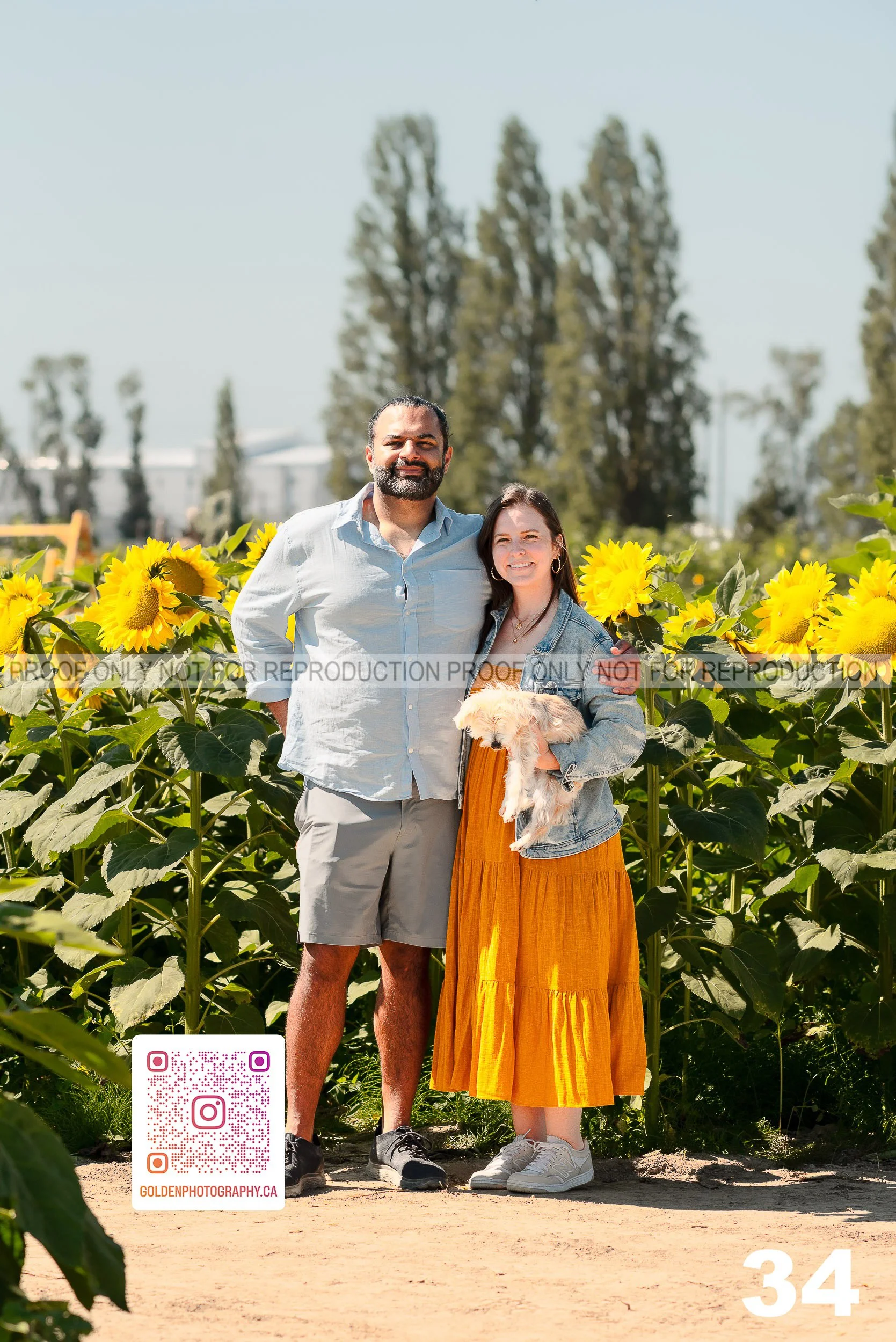 Sunflower Proofs (34 of 40).jpg