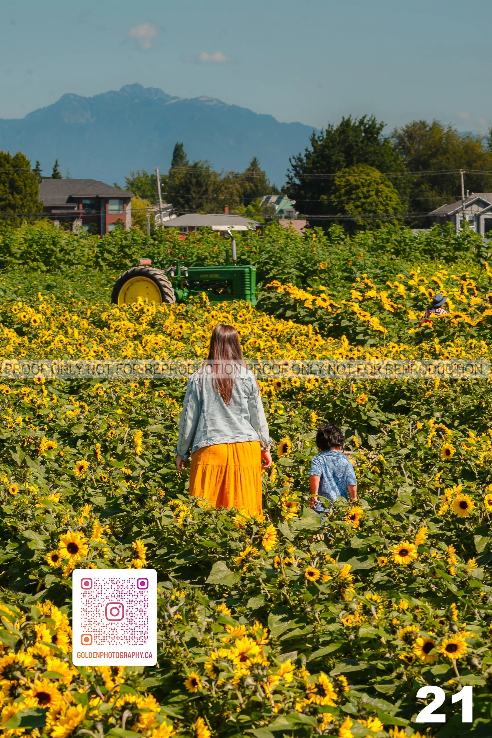 Sunflower Proofs (21 of 40).jpg