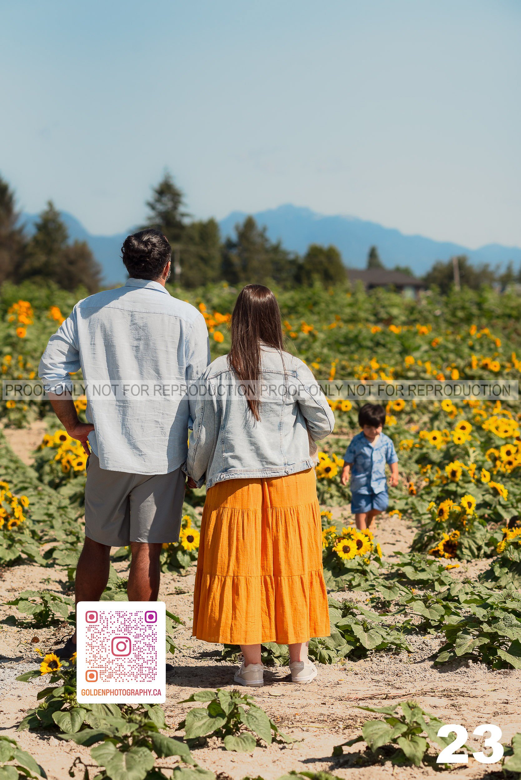 Sunflower Proofs (23 of 40).jpg