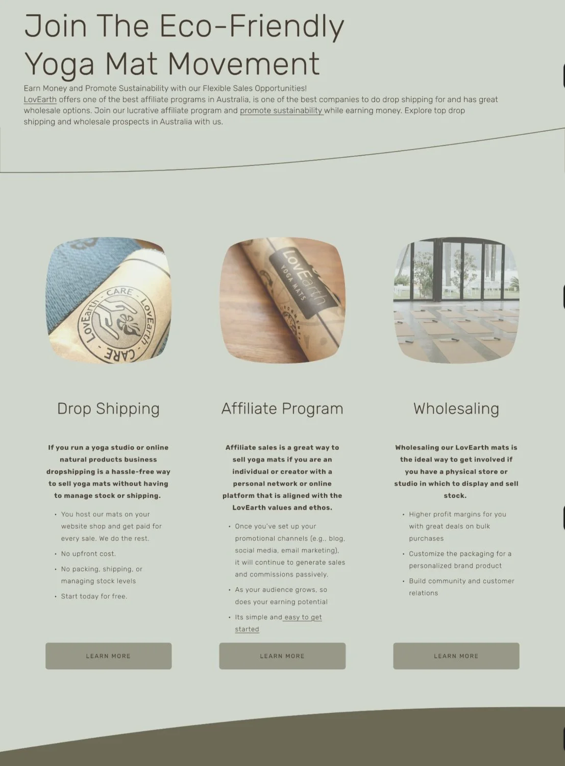 Partnership page explaining wholesale, dropshipping and affiliate opportunities for businesses, teachers and content creators.