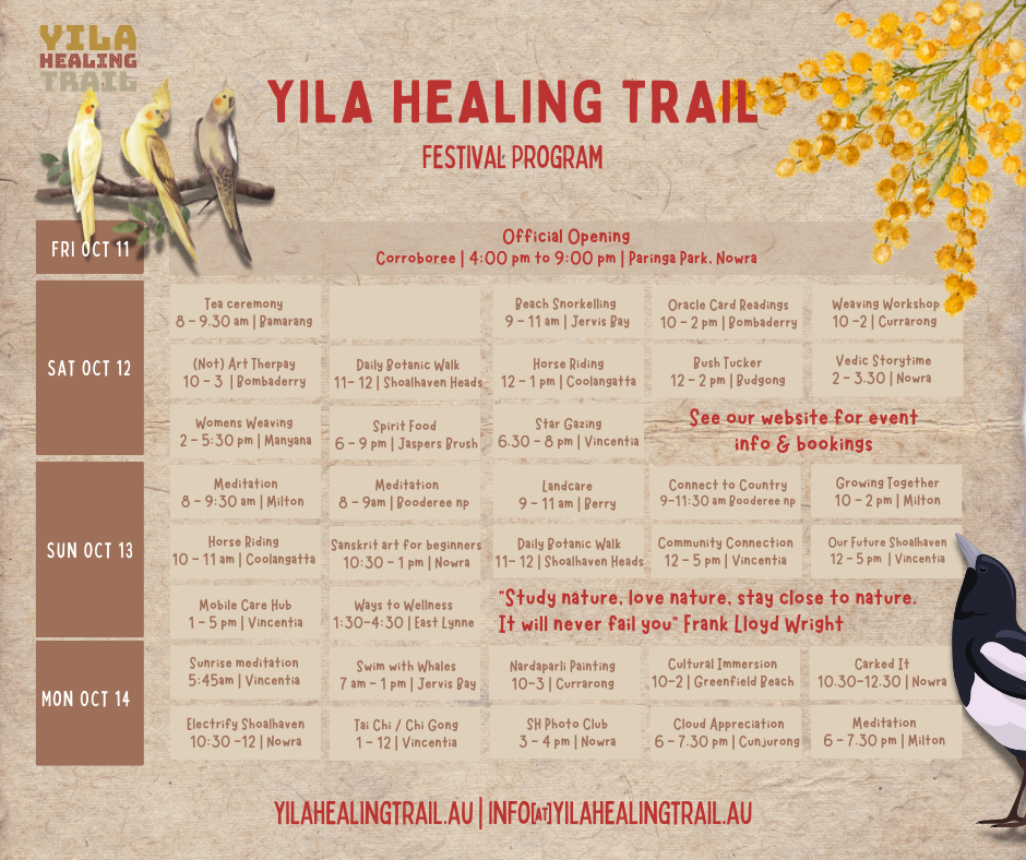Festival program designed for Yila Healing Trail showing the opening four days of events with timetable, locations, illustrations and branding.