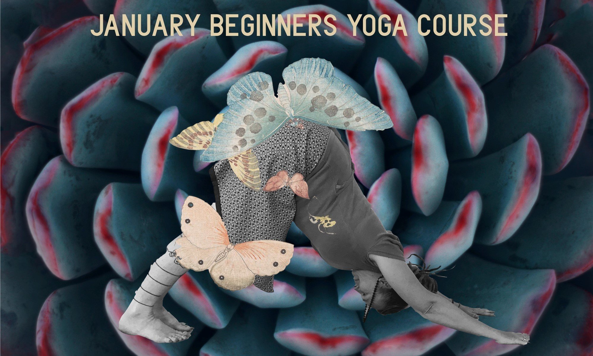Beginners+yoga+2021.jpg