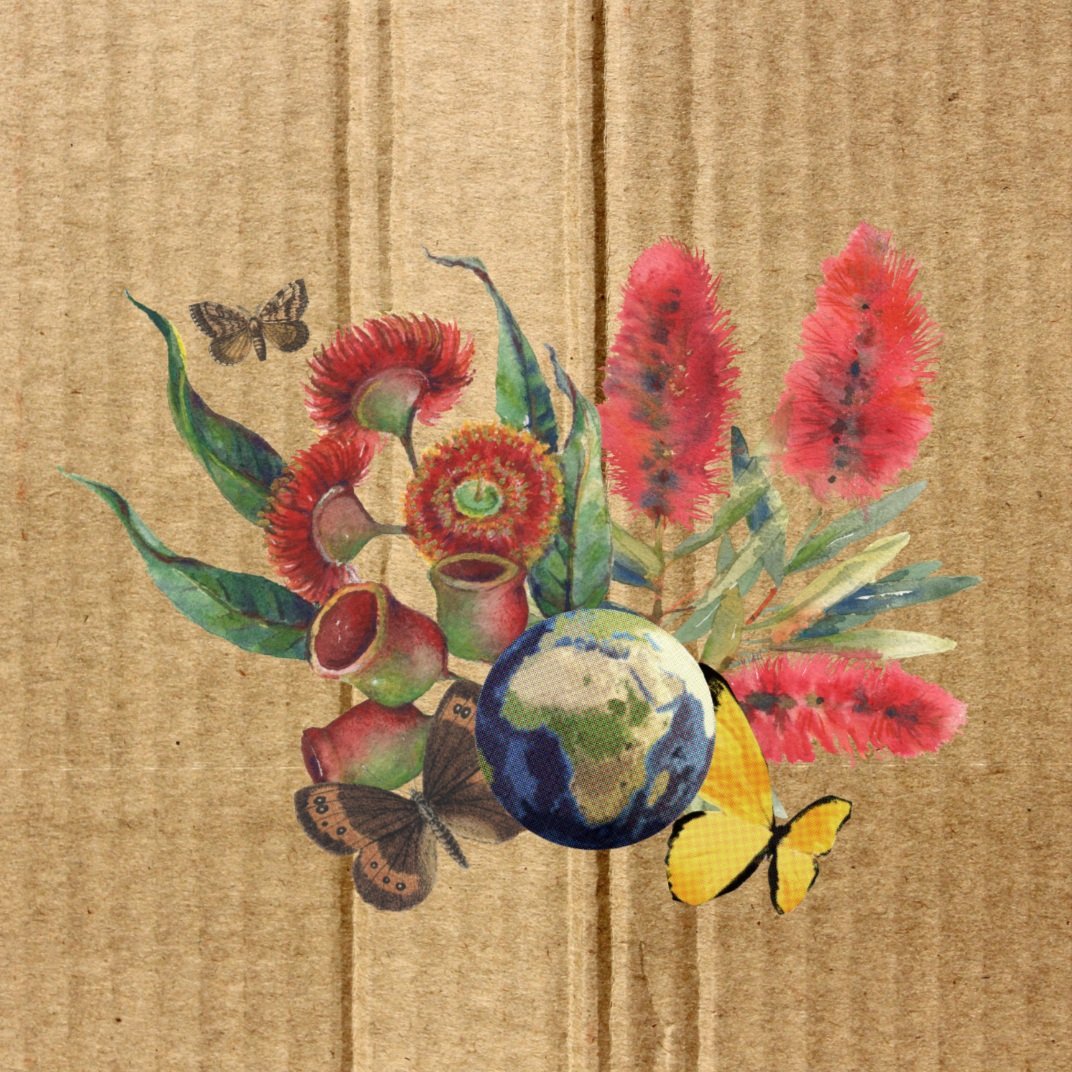 Colorful festival event banners with Yila Healing Trail theme and native australian flowers, placed against a rustic cardboard backdrop, promoting event activities