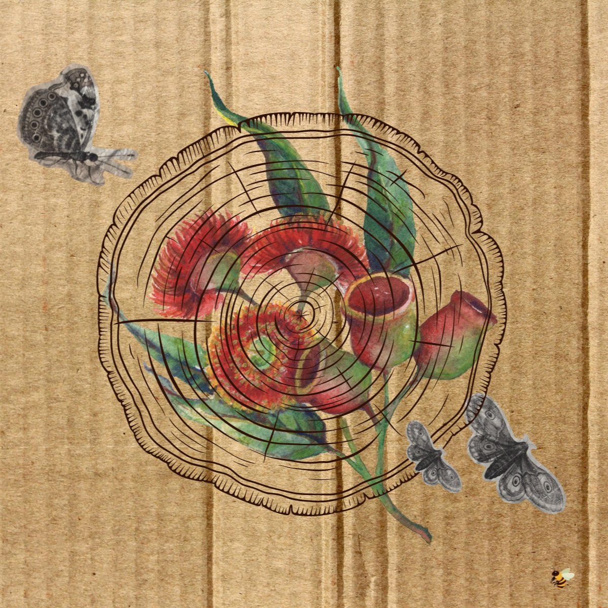 Digital collage of festival promotion for Yila Healing Trail woodchopping event, with cardboard background and australian native flower elements.