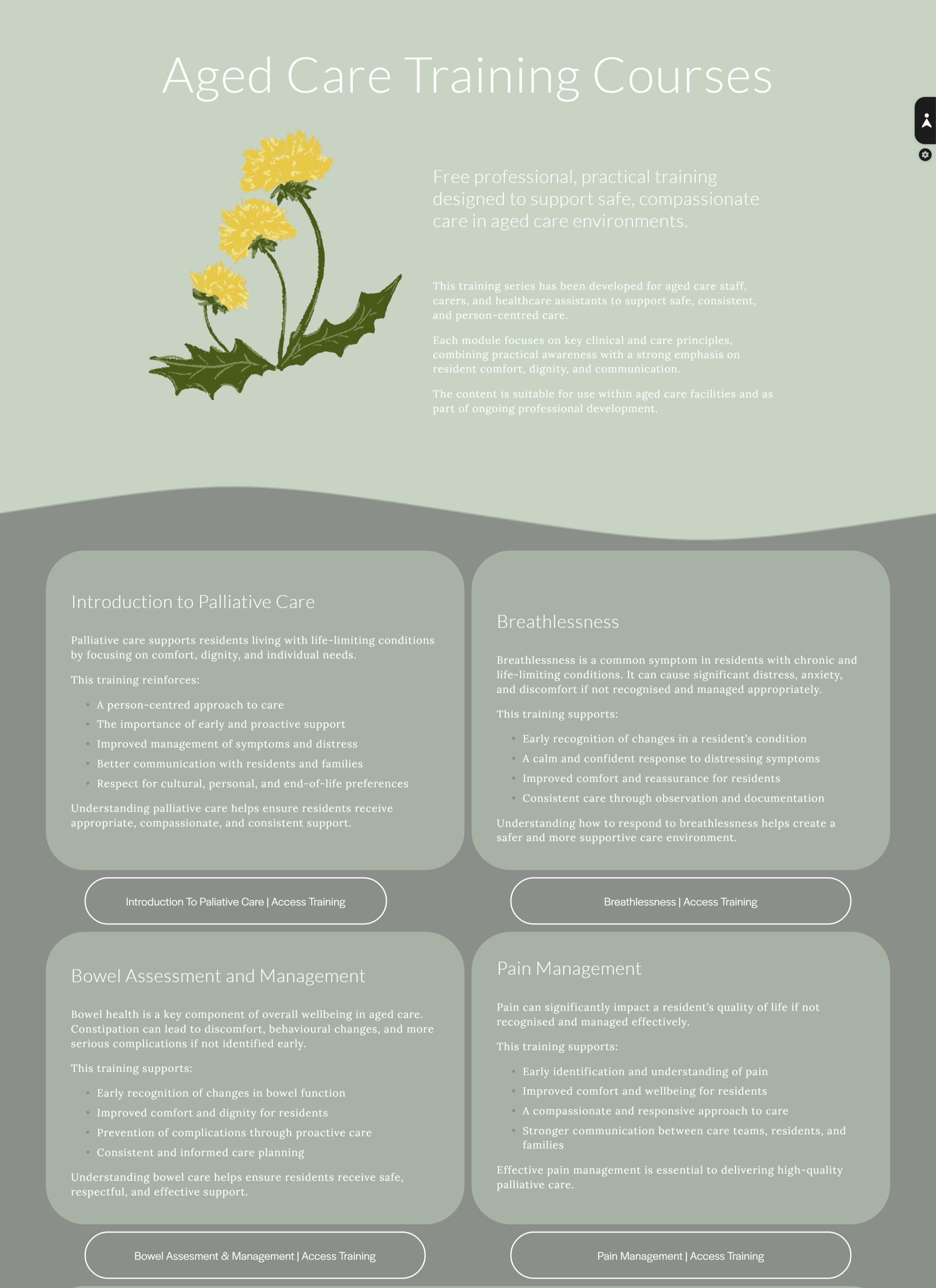 Training services page with custom illustration and copywriting
