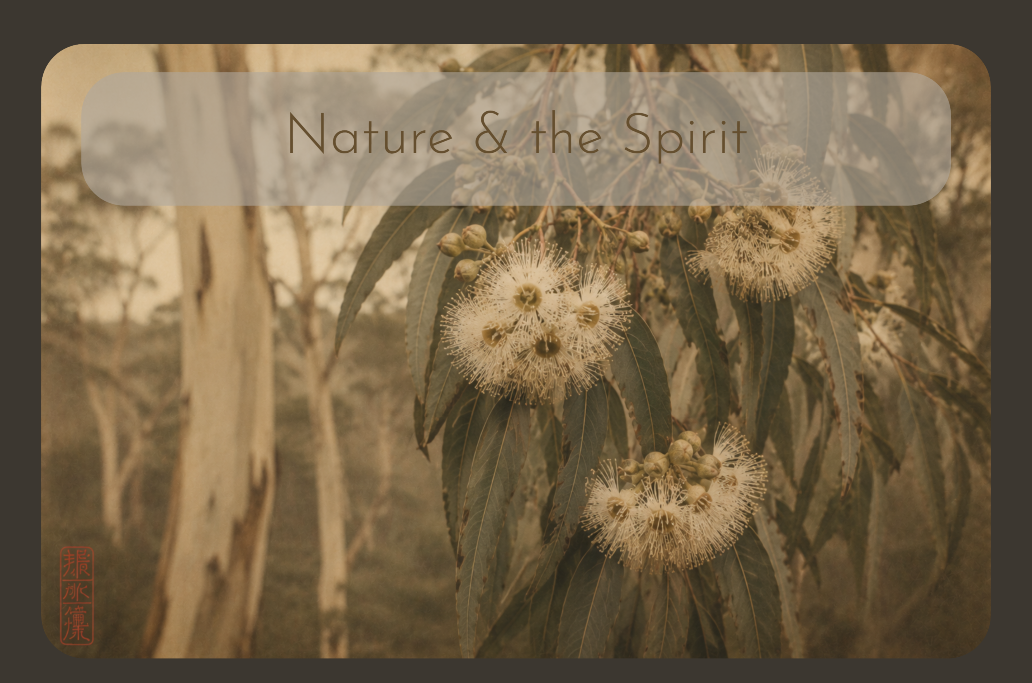 Seasonality made visible.
A nature-led visual language connecting yoga, place and the changing rhythms of the landscape.