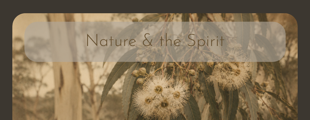 way-of-nature-website-design-spirit.png