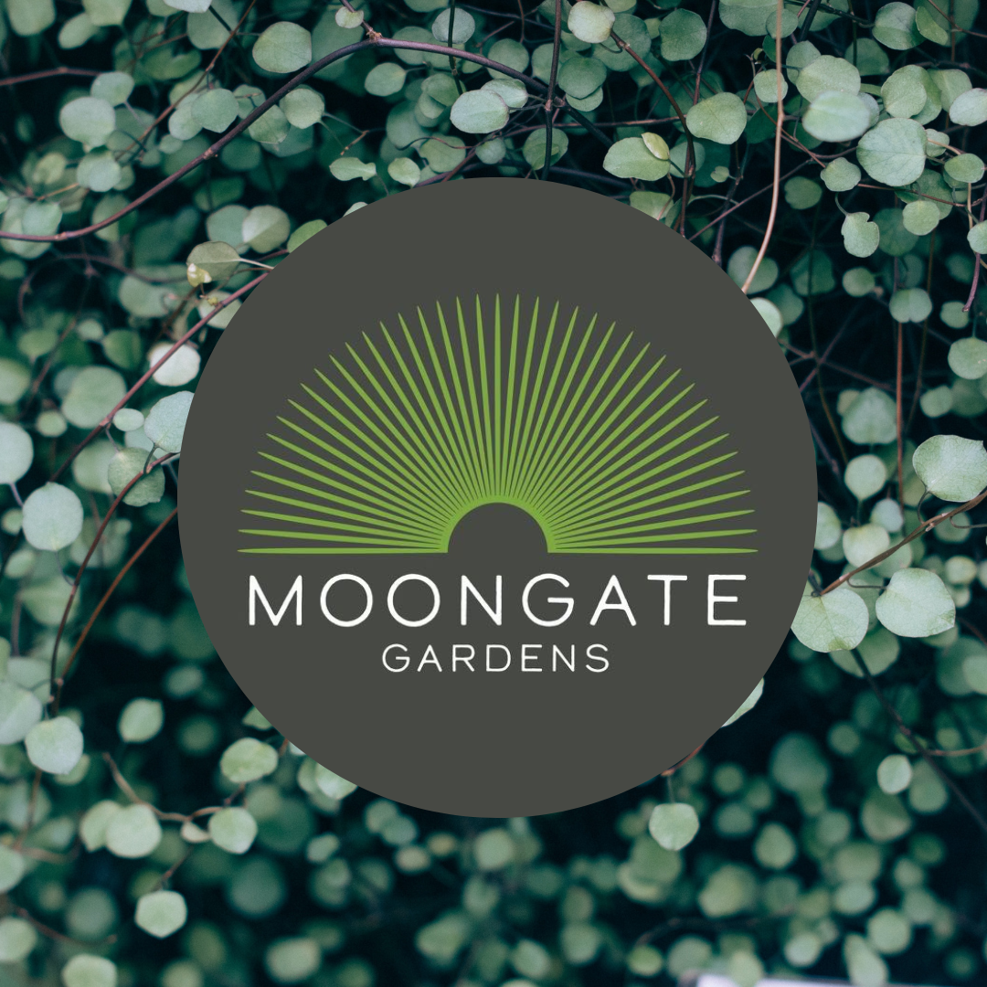 Logo and visual identity developed to reflect the studio's calm, contemporary approach to landscape design and garden creation.