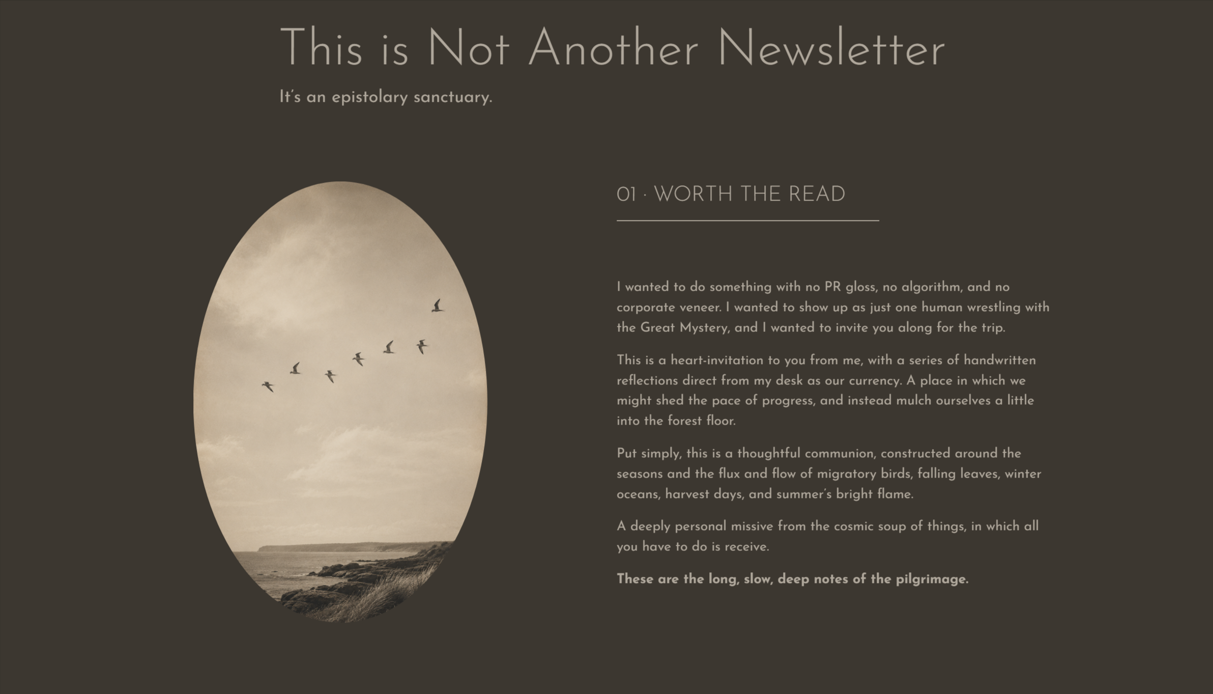 A long-running newsletter given its own editorial home, creating a clear pathway into more than two decades of writing and correspondence.