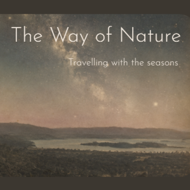 The Way of Nature | Rising Sun Media