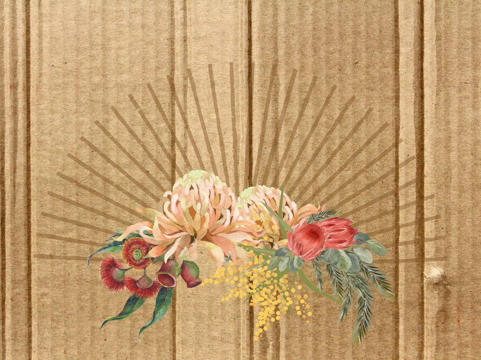 Cardboard background collage highlighting key elements of the Yila Healing Trail Festival for event promotion. Includes native australian flower collage.