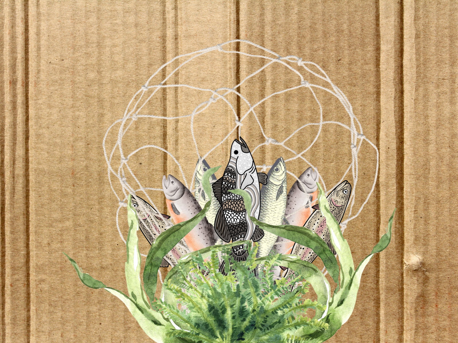 Cardboard background collage for indigenous fishing net weaving workshop
including fish, fishing nets and sea weed elements.
