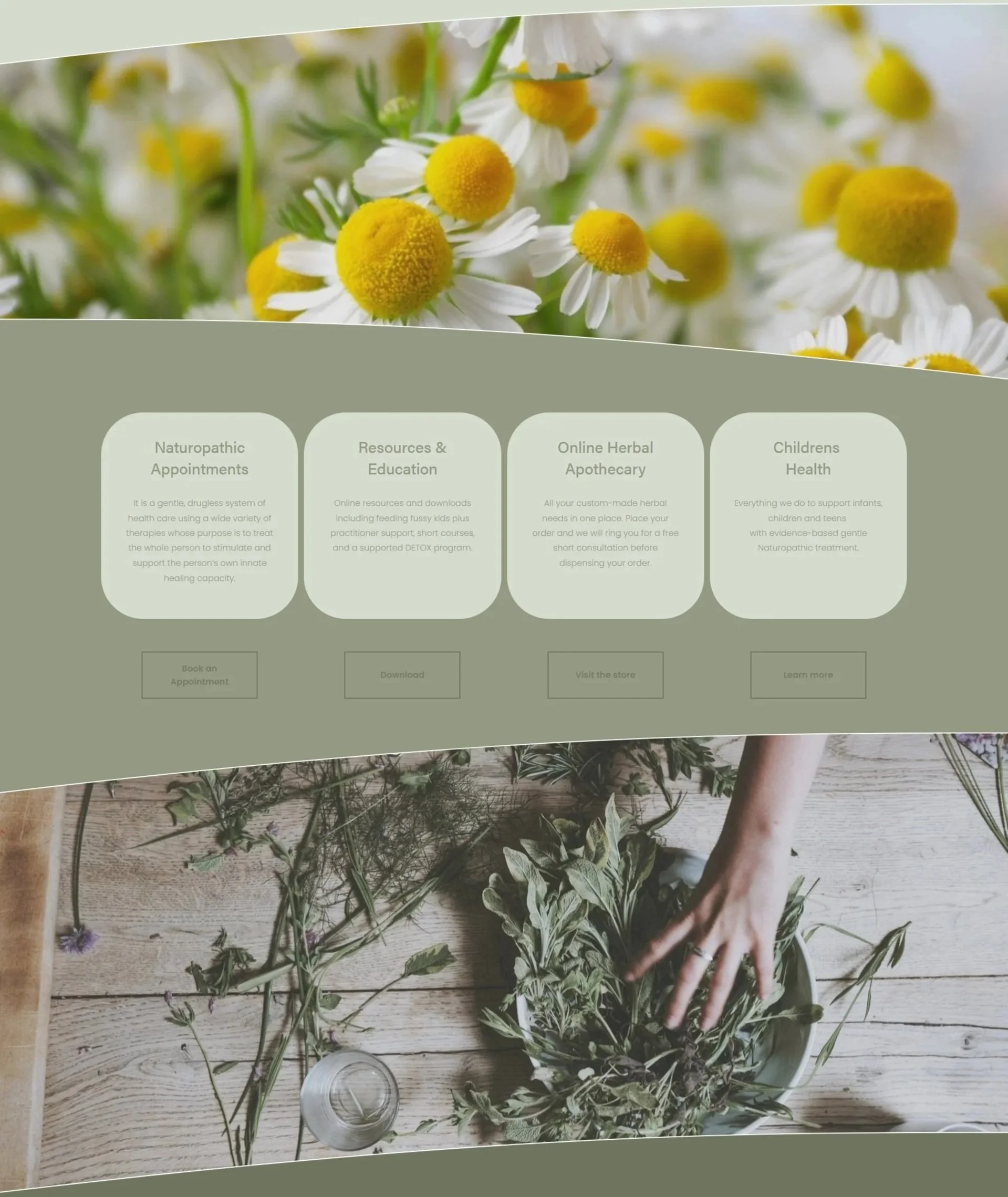 Homepage of the Green Door Health Squarespace website featuring chamomile photography and a calming natural colour palette.