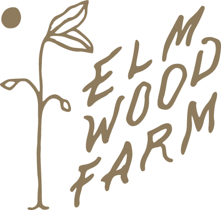 aarongarciastudio_branding_elmwood-3.png