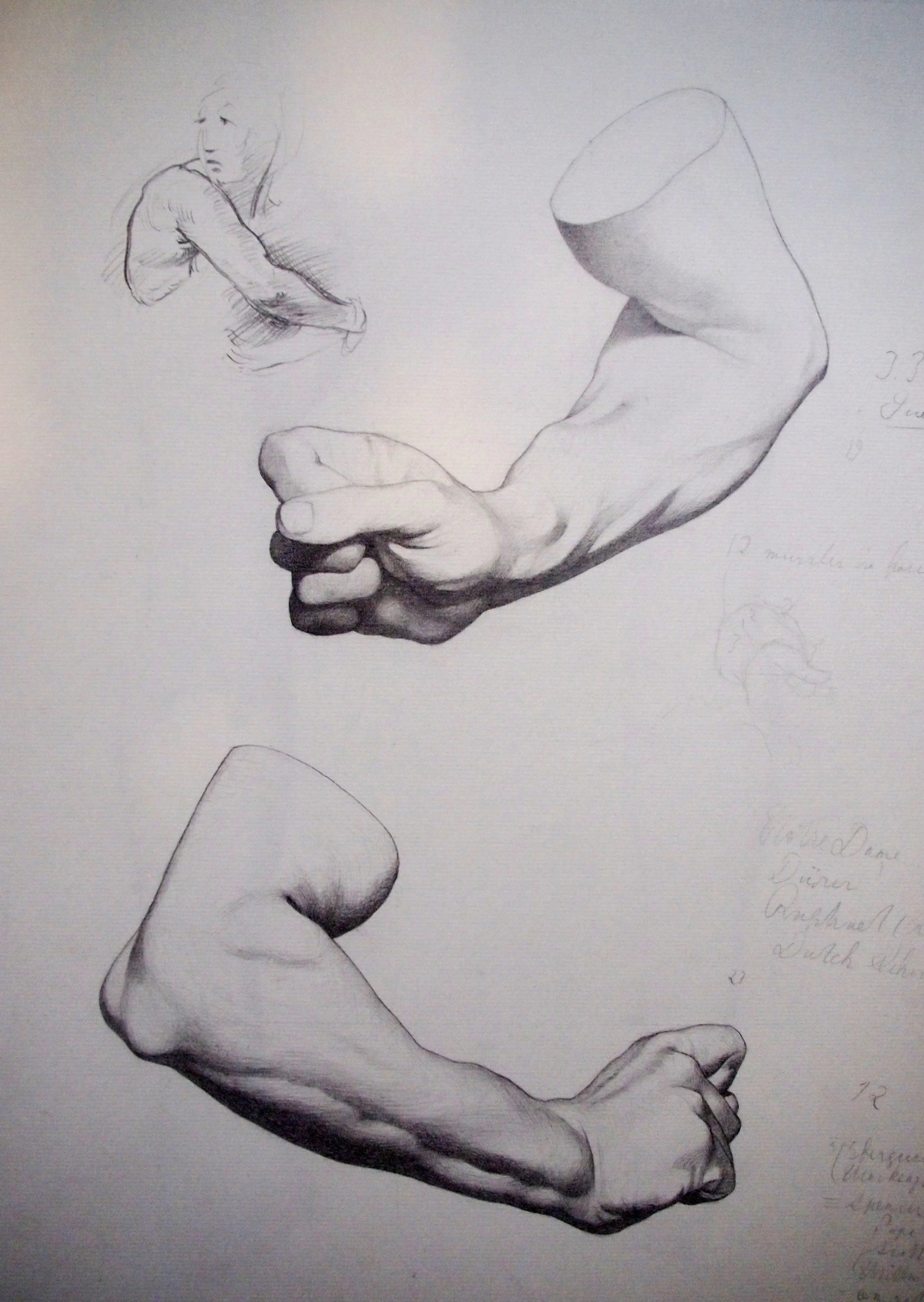 Arm Studies (after Bargue) and Sketch of Man (after Raphael)