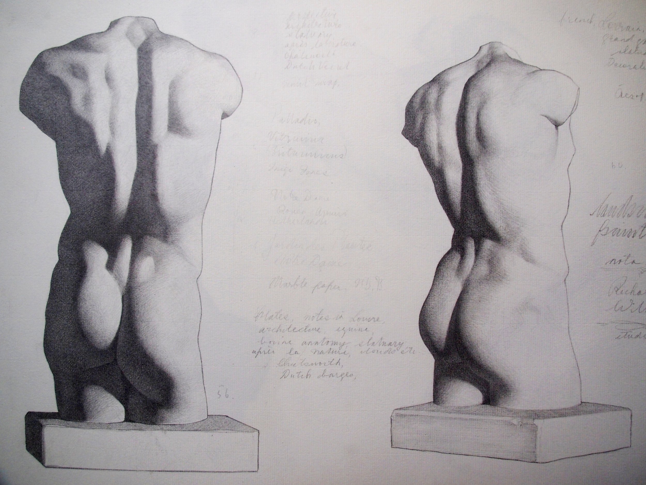 Torso Studies (after Bargue)