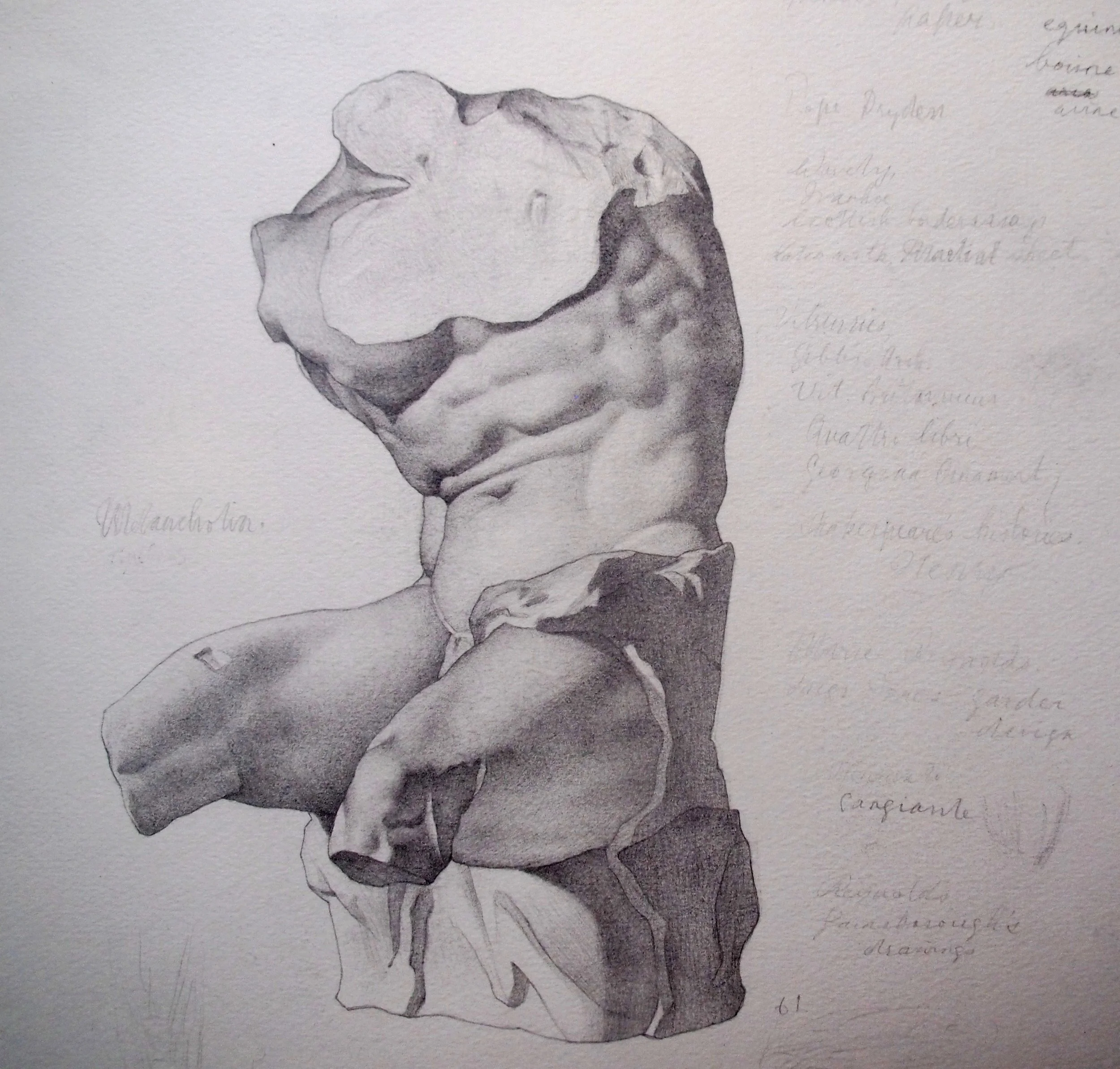 Study of the Belvedere Torso (after Bargue)