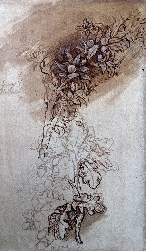 Study of a Fruit Tree (after Mantegna) and a Spray of Oak Leaves (after Leonardo)