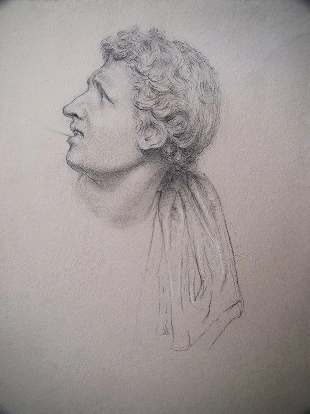 Study of the Head of One of Laocoön's Sons