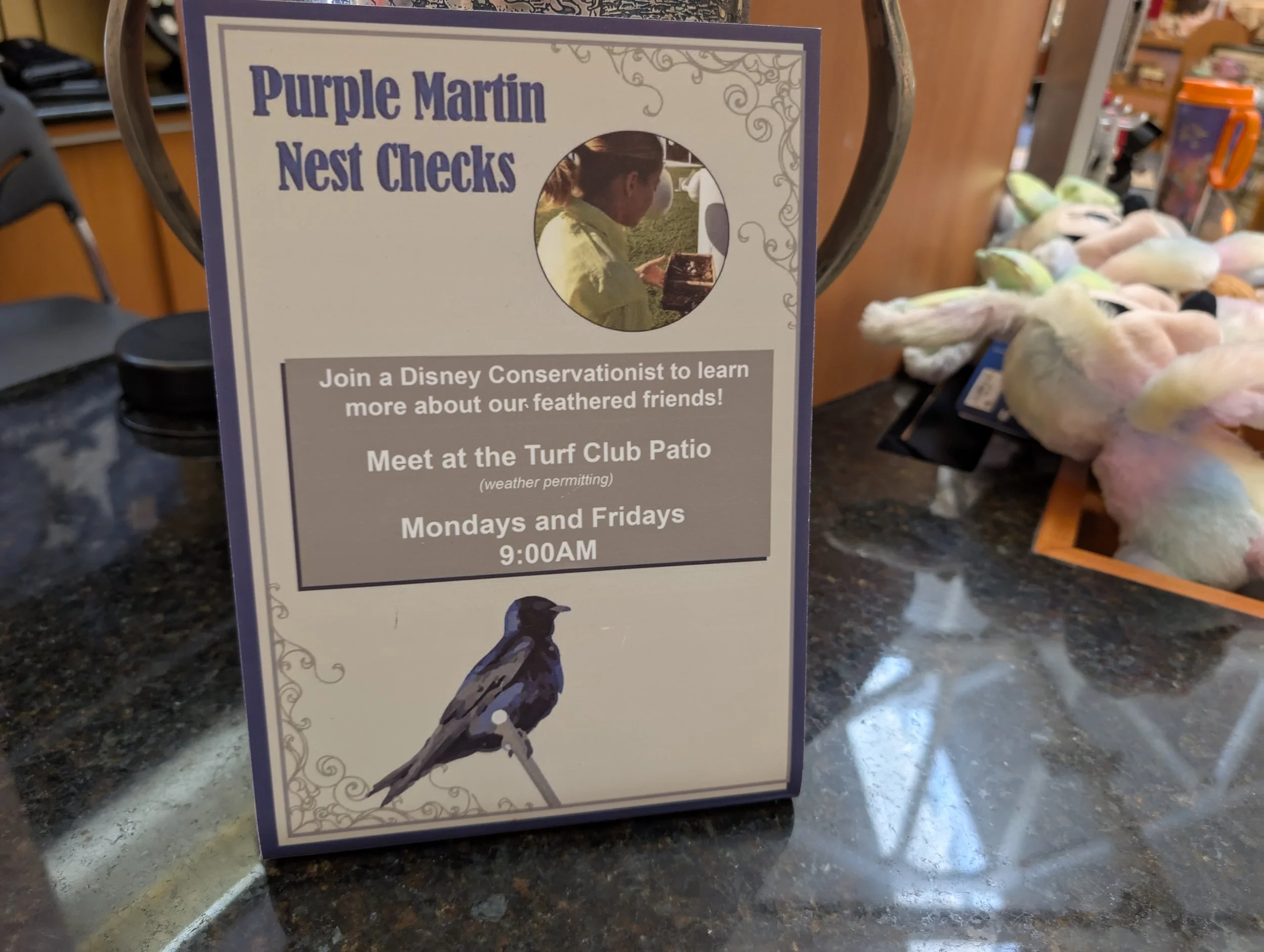 Disney's Saratoga Springs Resort Purple Martin Nest Checks