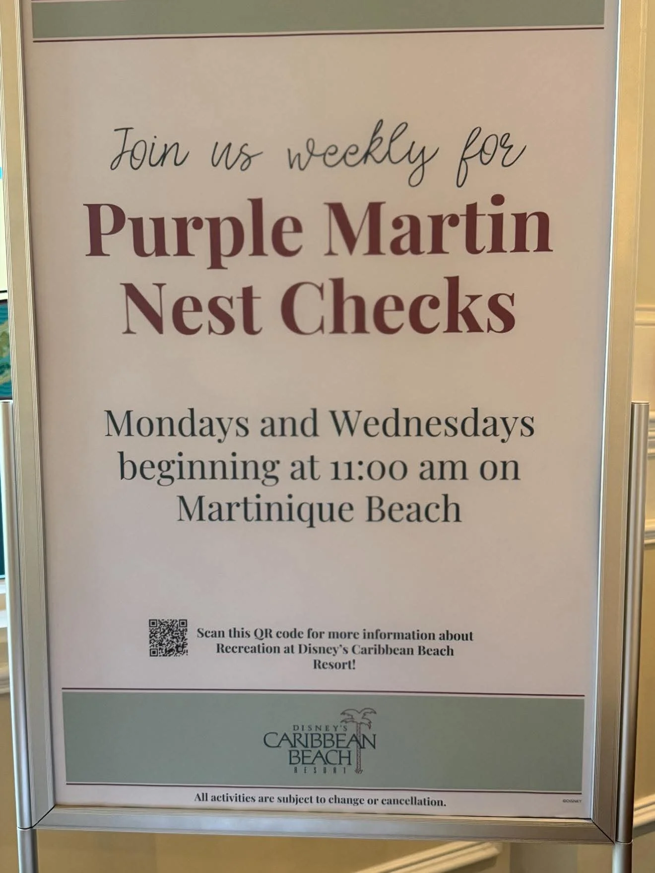 Disney's Caribbean Beach Resort Purple Martin Nest Checks Bird Activity
