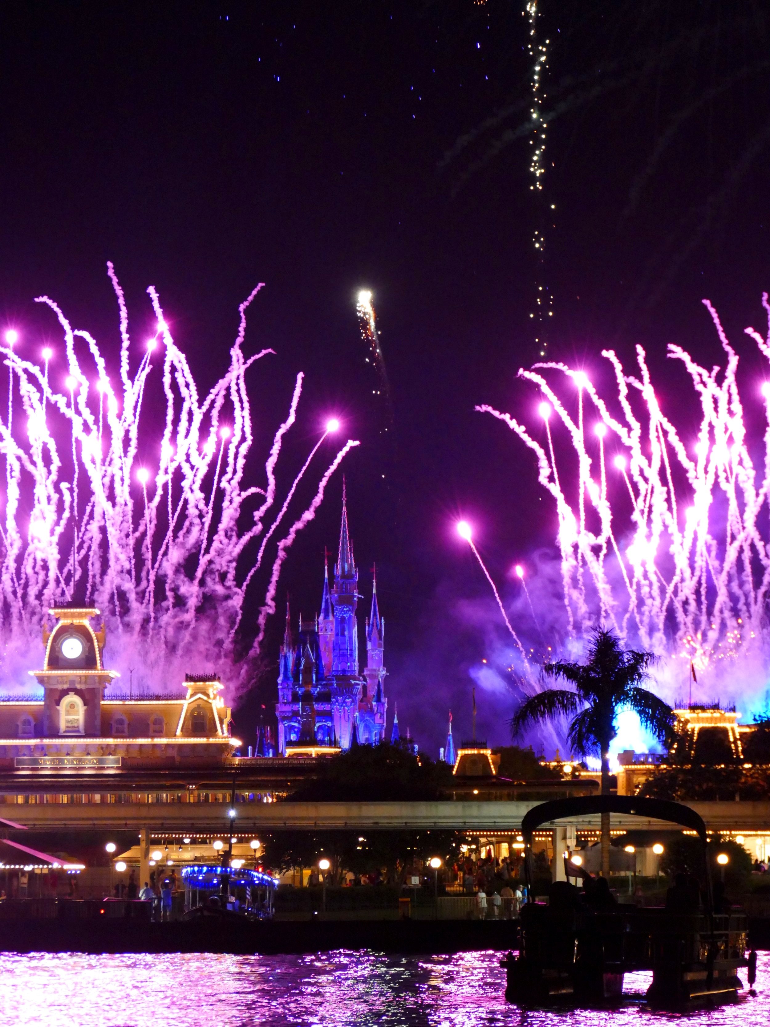 fireworks cruise at disney world