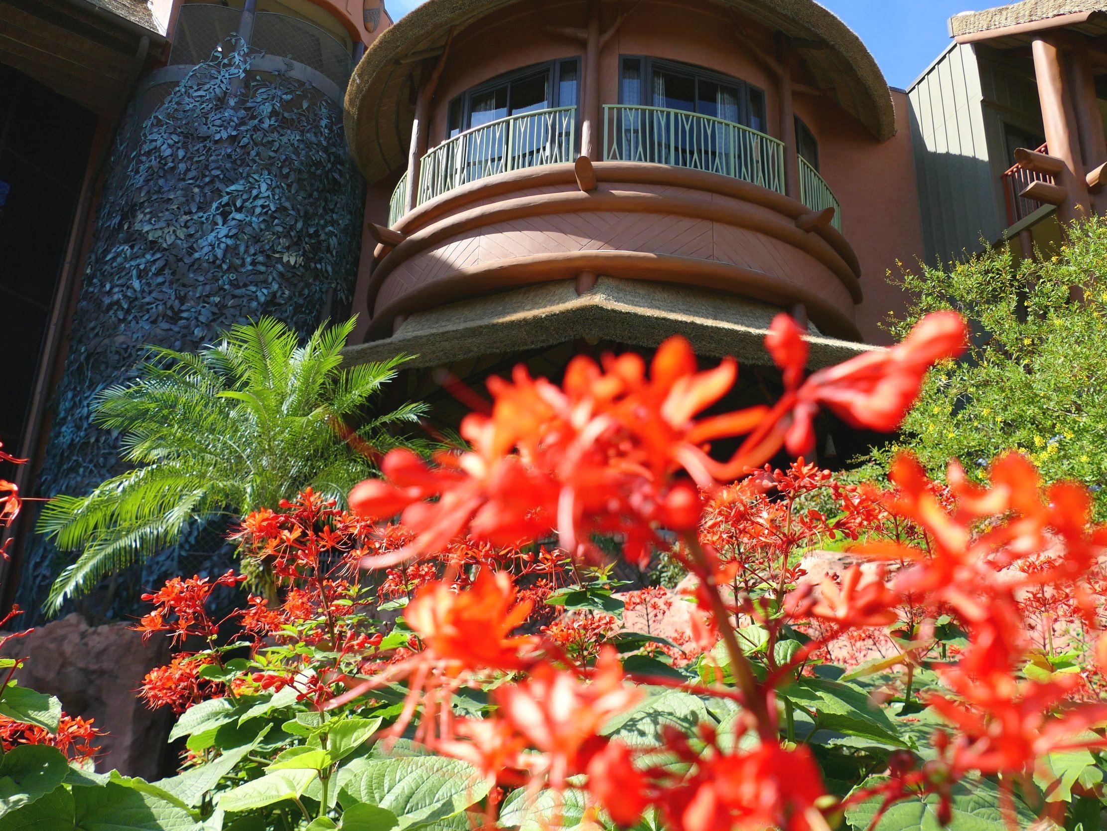 Disney's Animal Kingdom Lodge - Jambo House Resort Campfire Ranking