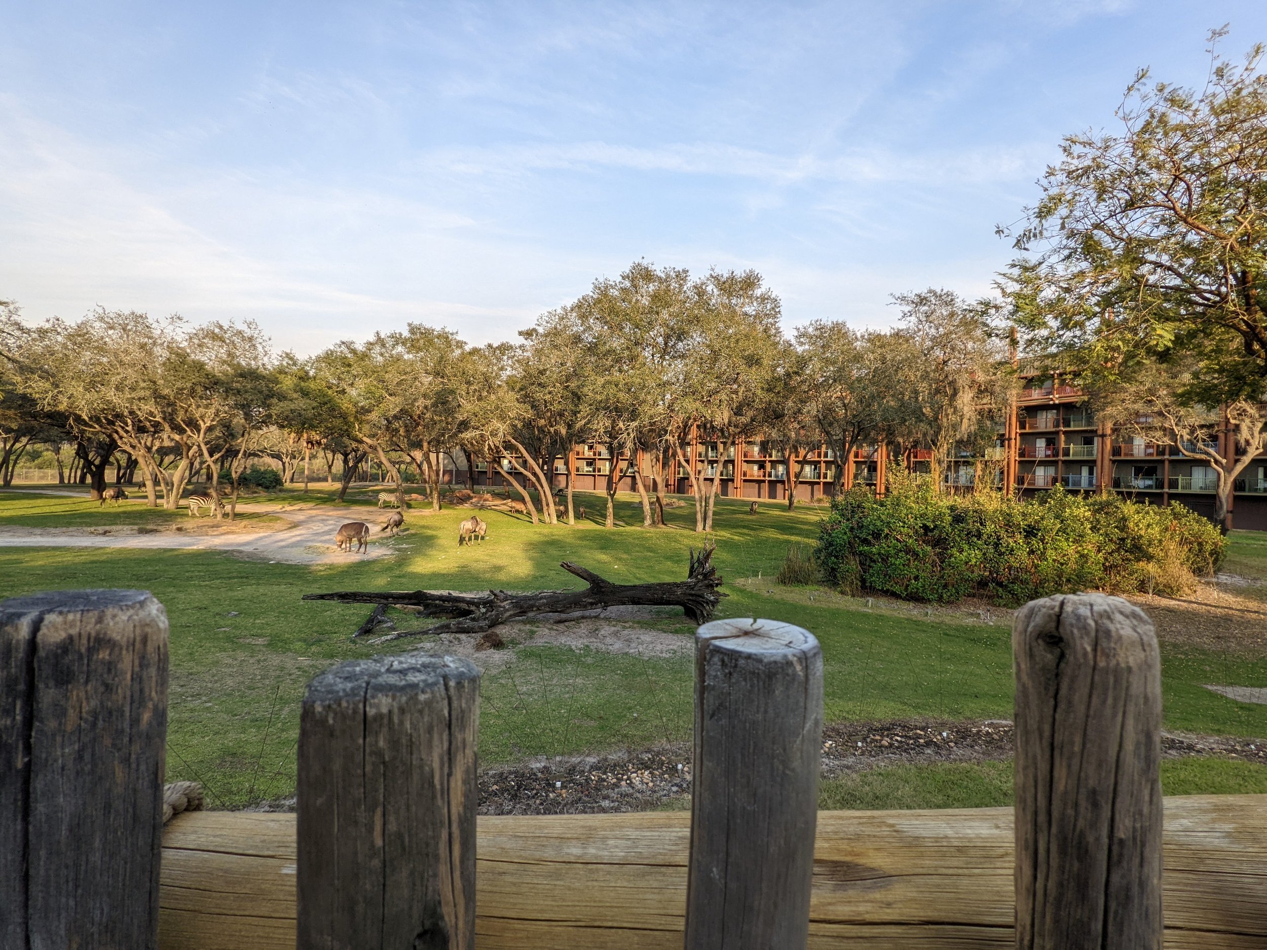 Disney's Animal Kingdom Lodge - Jambo House Resort Campfire Ranking