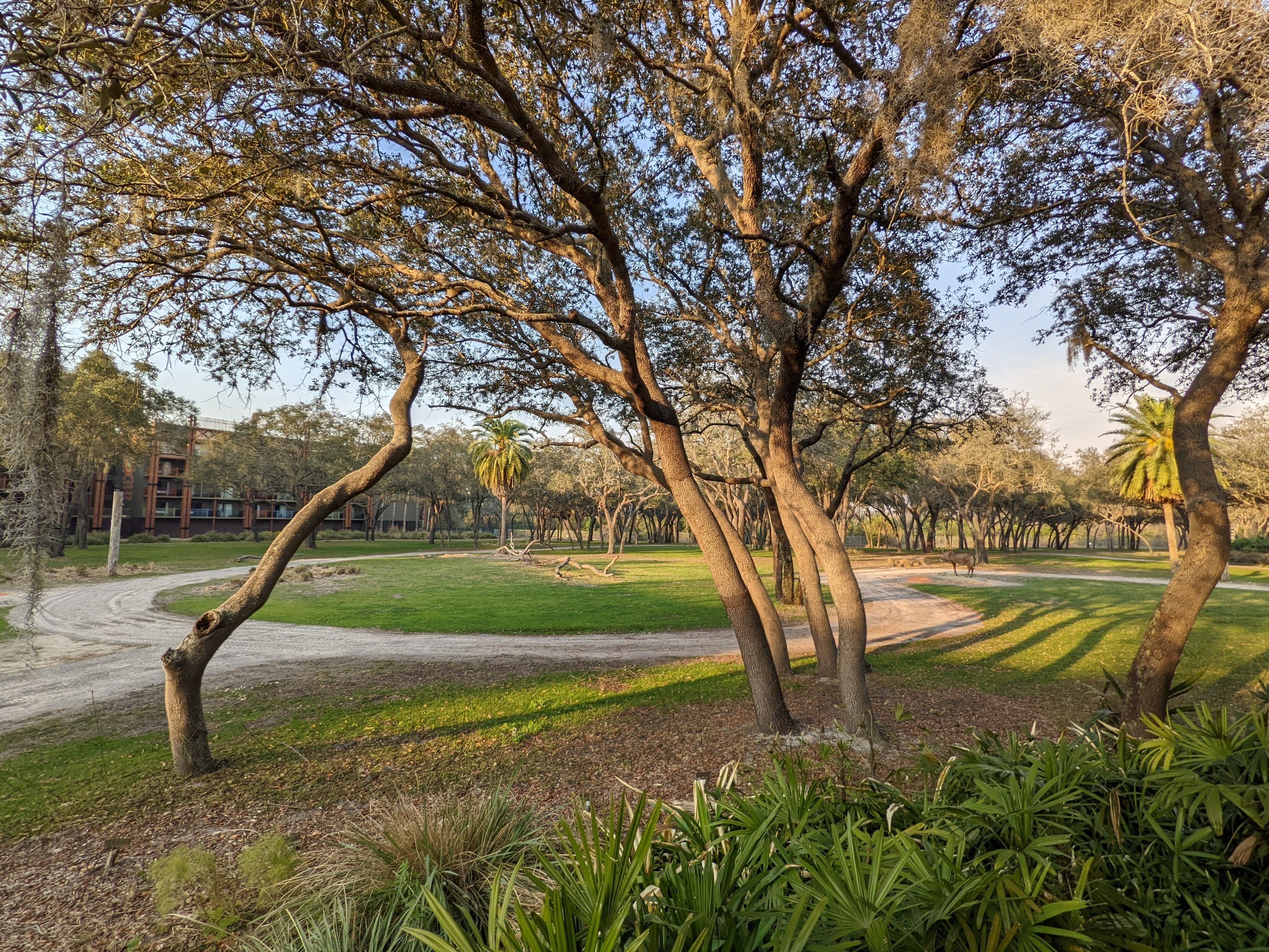 Disney's Animal Kingdom Lodge - Jambo House Resort Campfire Ranking