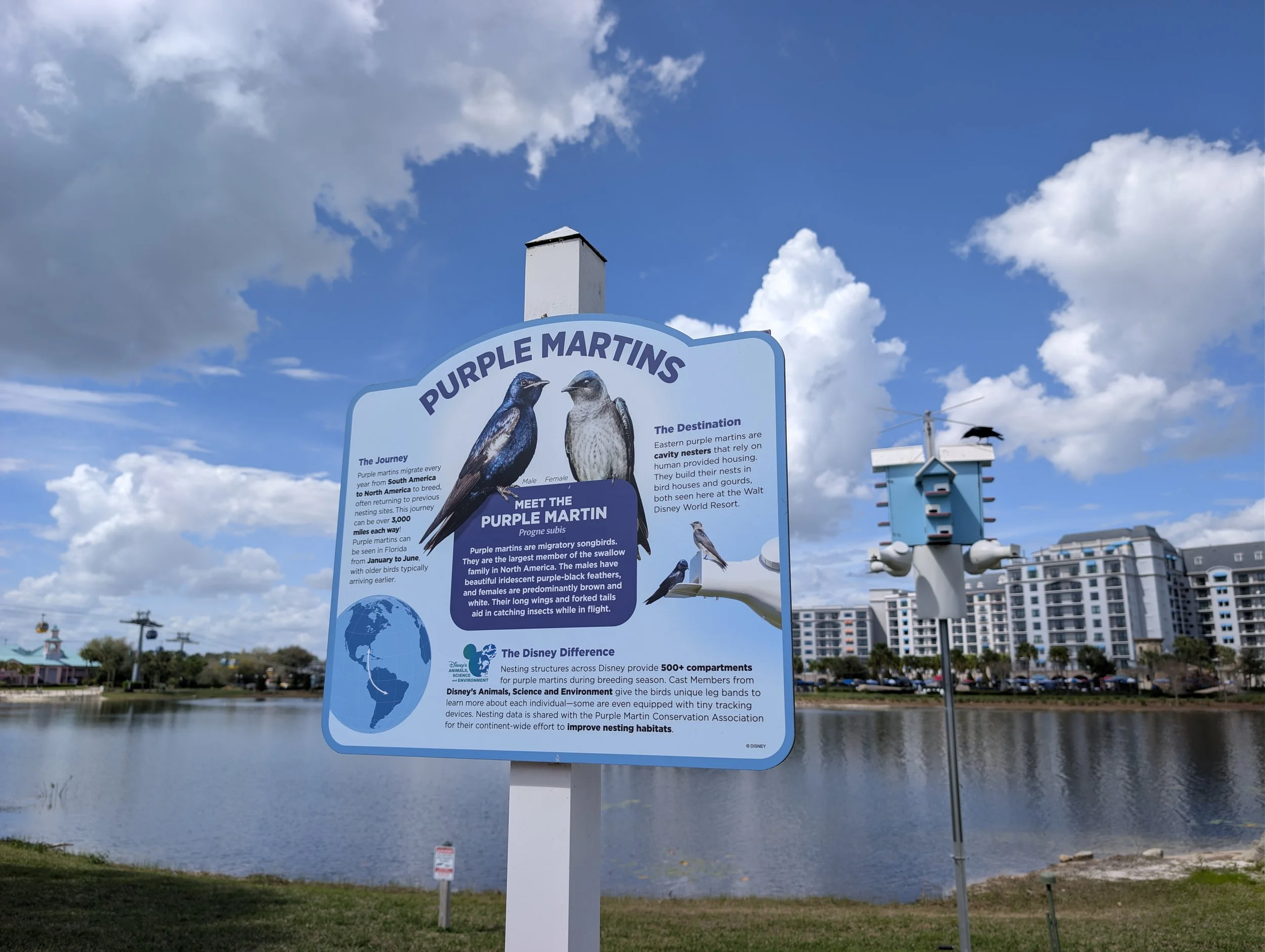 Spring 2026: Newest Resort Activities