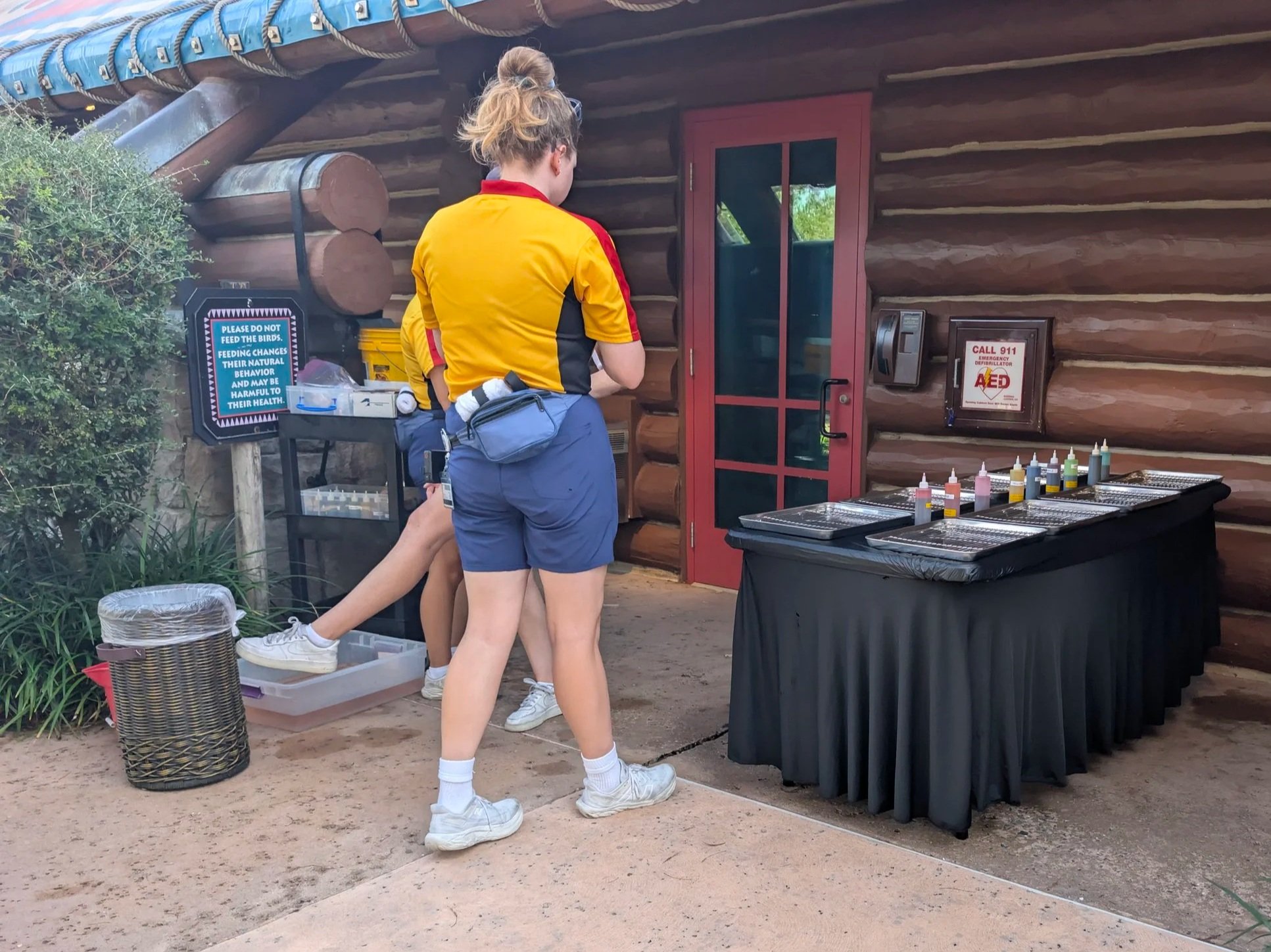Disney's Wilderness Lodge Resort Mickey Tie-Dye