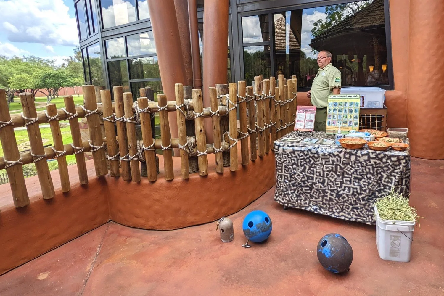 Bioblocks Activity Disney Disney's Animal Kingdom Lodge Resort Free Recreation Activities ...