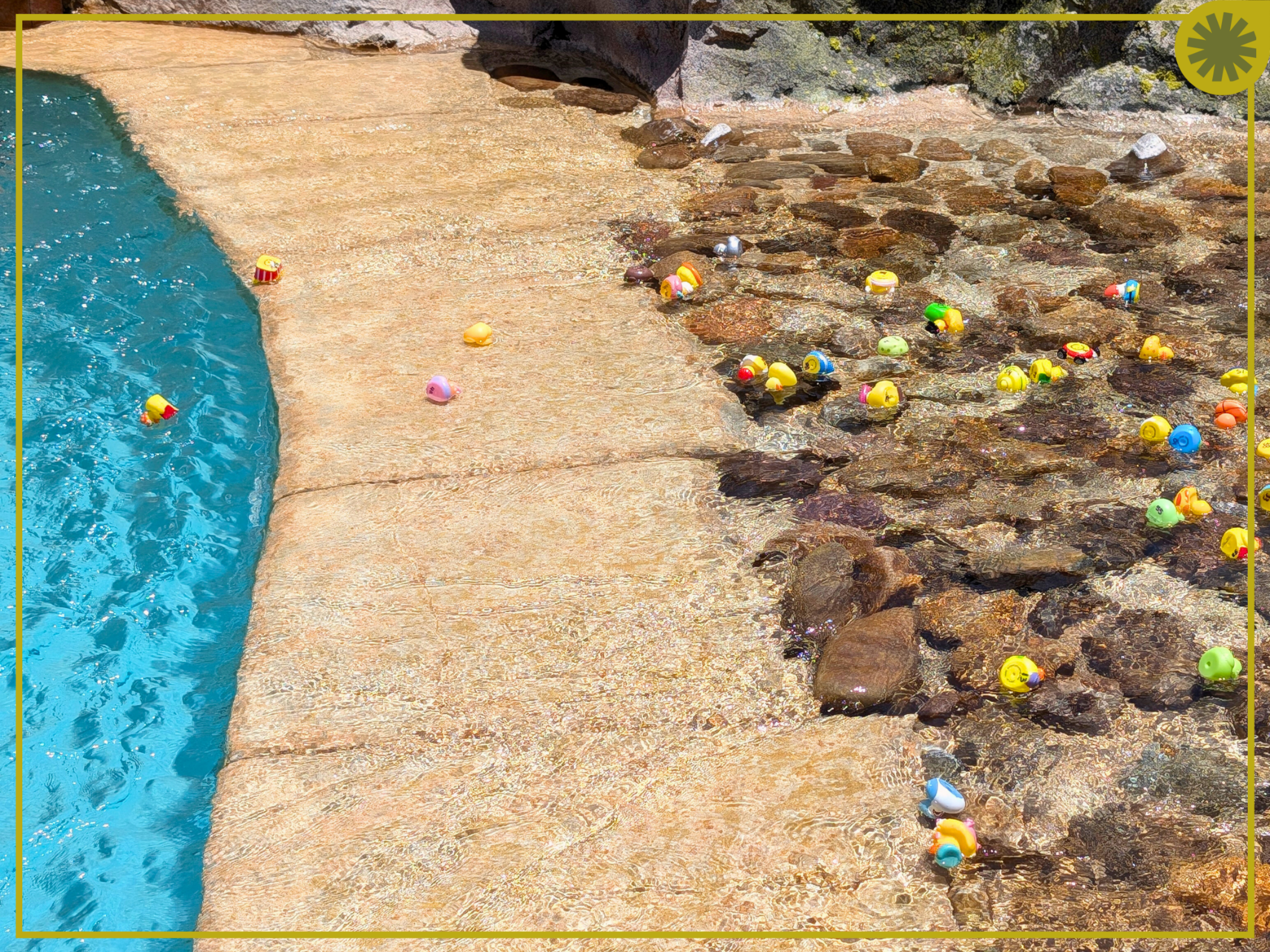 Disney's Wilderness Lodge Resort Duck Race Pool Activities