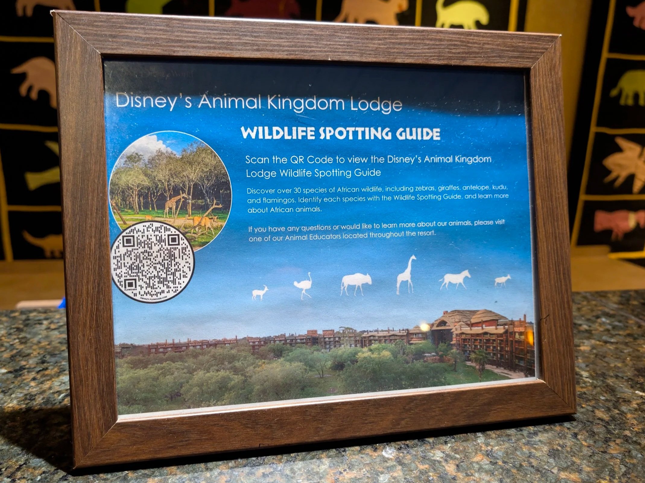 Disney's Animal Kingdom Lodge Resort Wildlife Spotting Guide