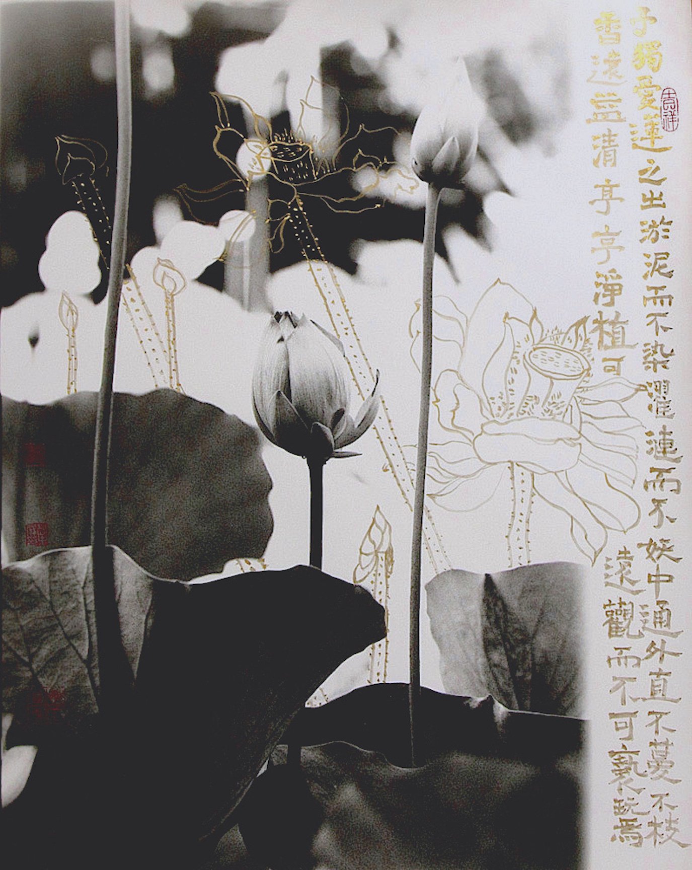 Chung-Ping Cheng_LLove+Lotus+Essay.jpeg