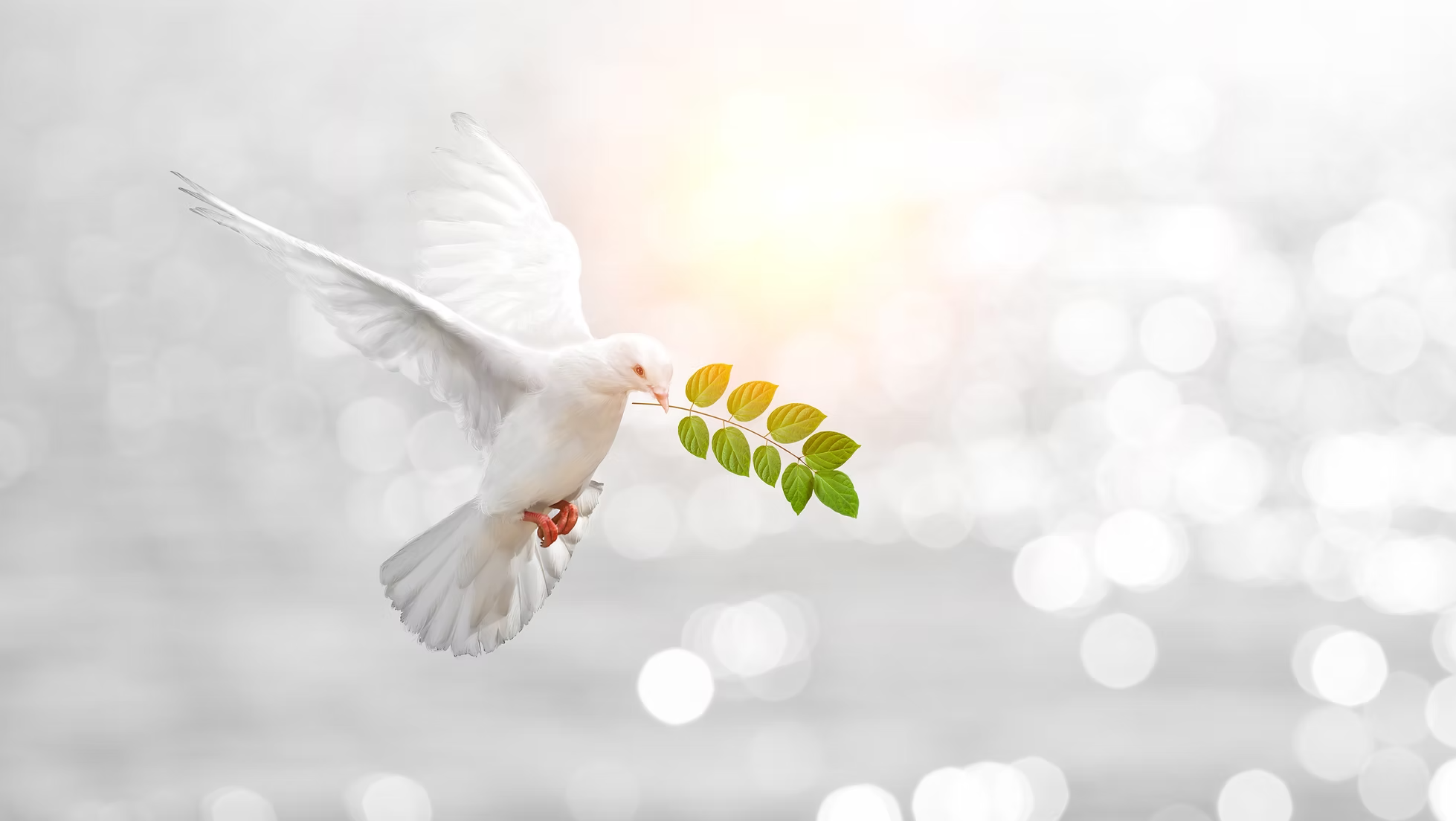 Expressions of Peace Juried Exhibition Opening (LELA International)