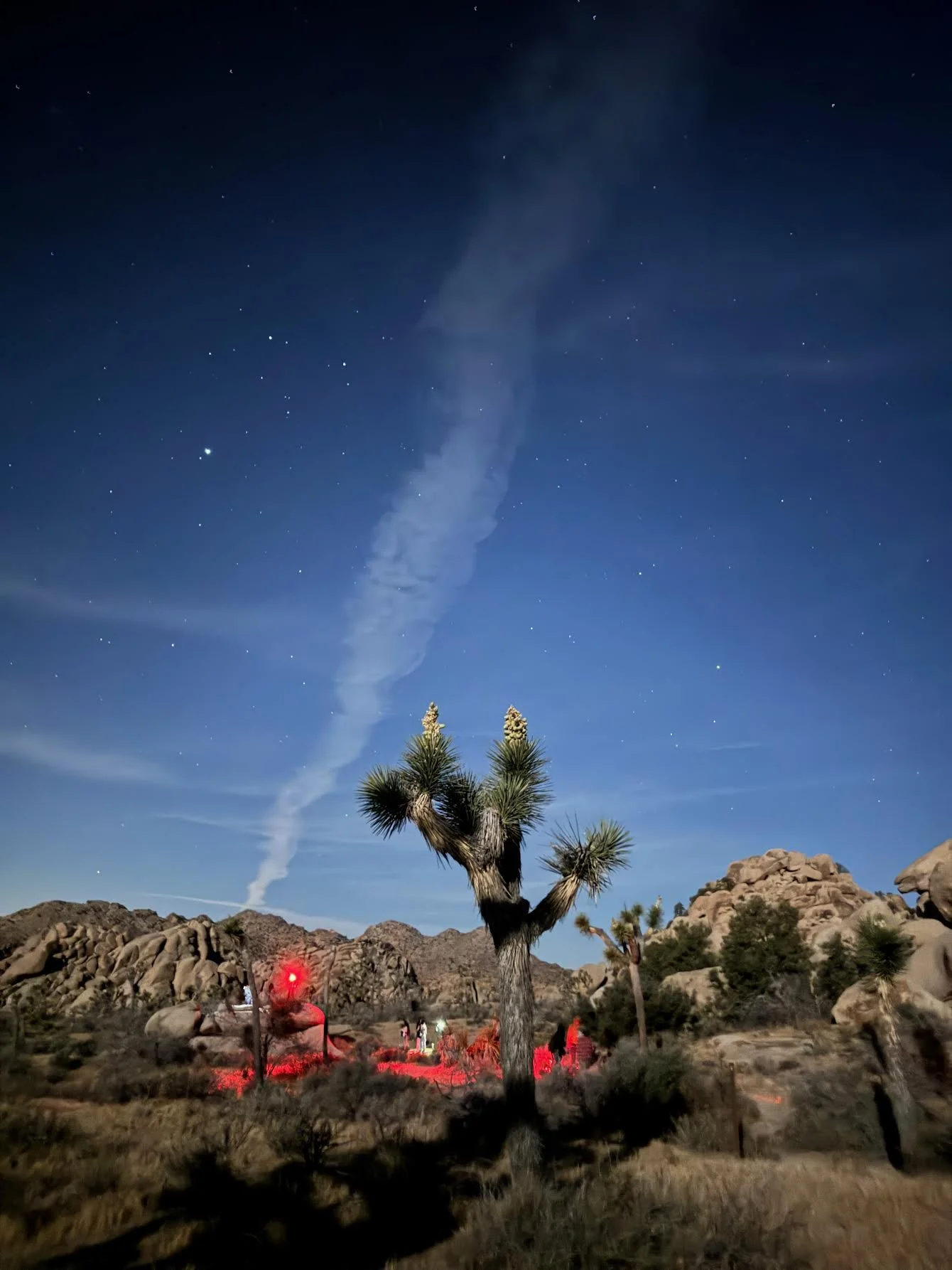 "Light Painting" by Lisette Bourne