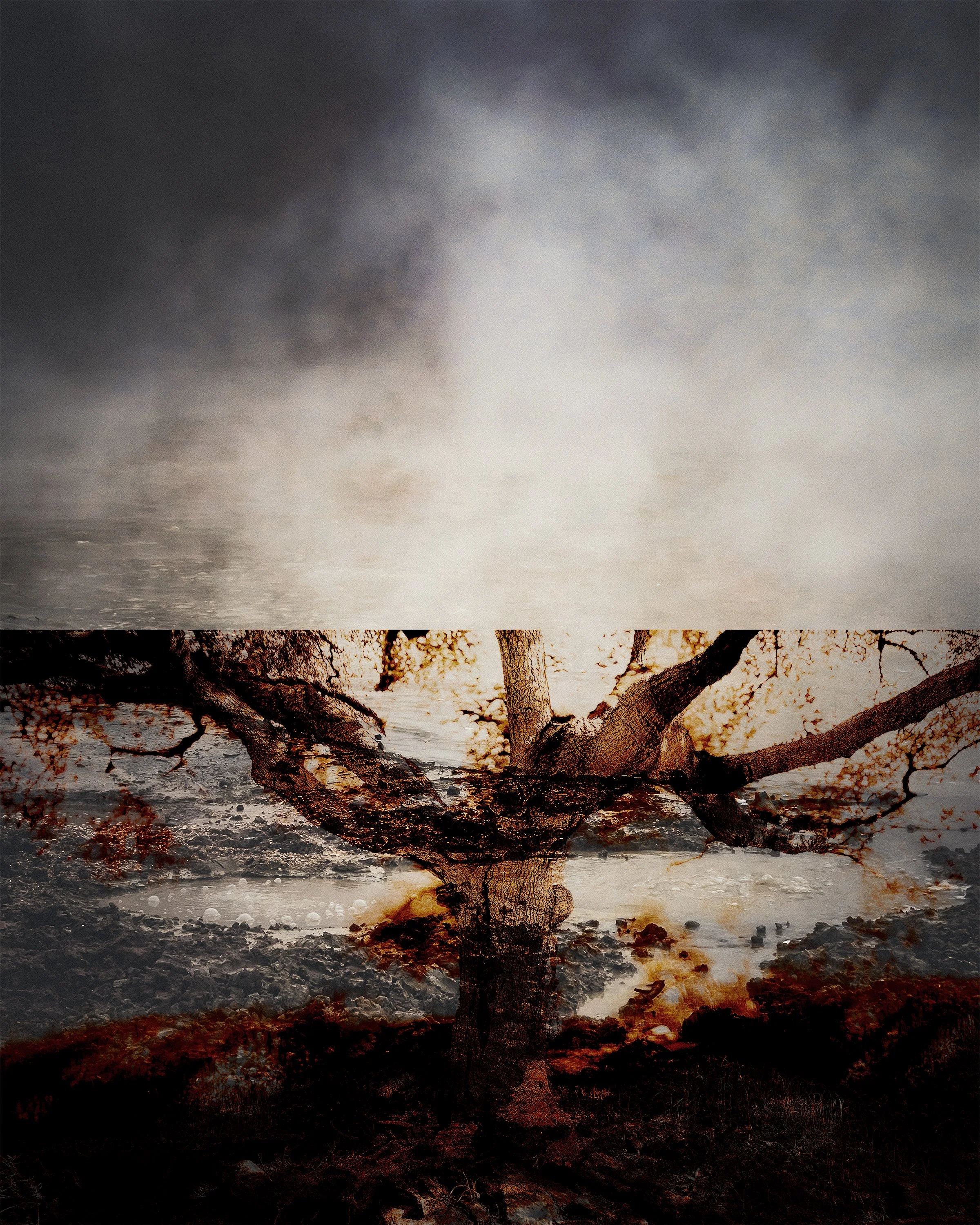 "GAIA: Earth Studies 1" by Anindita S