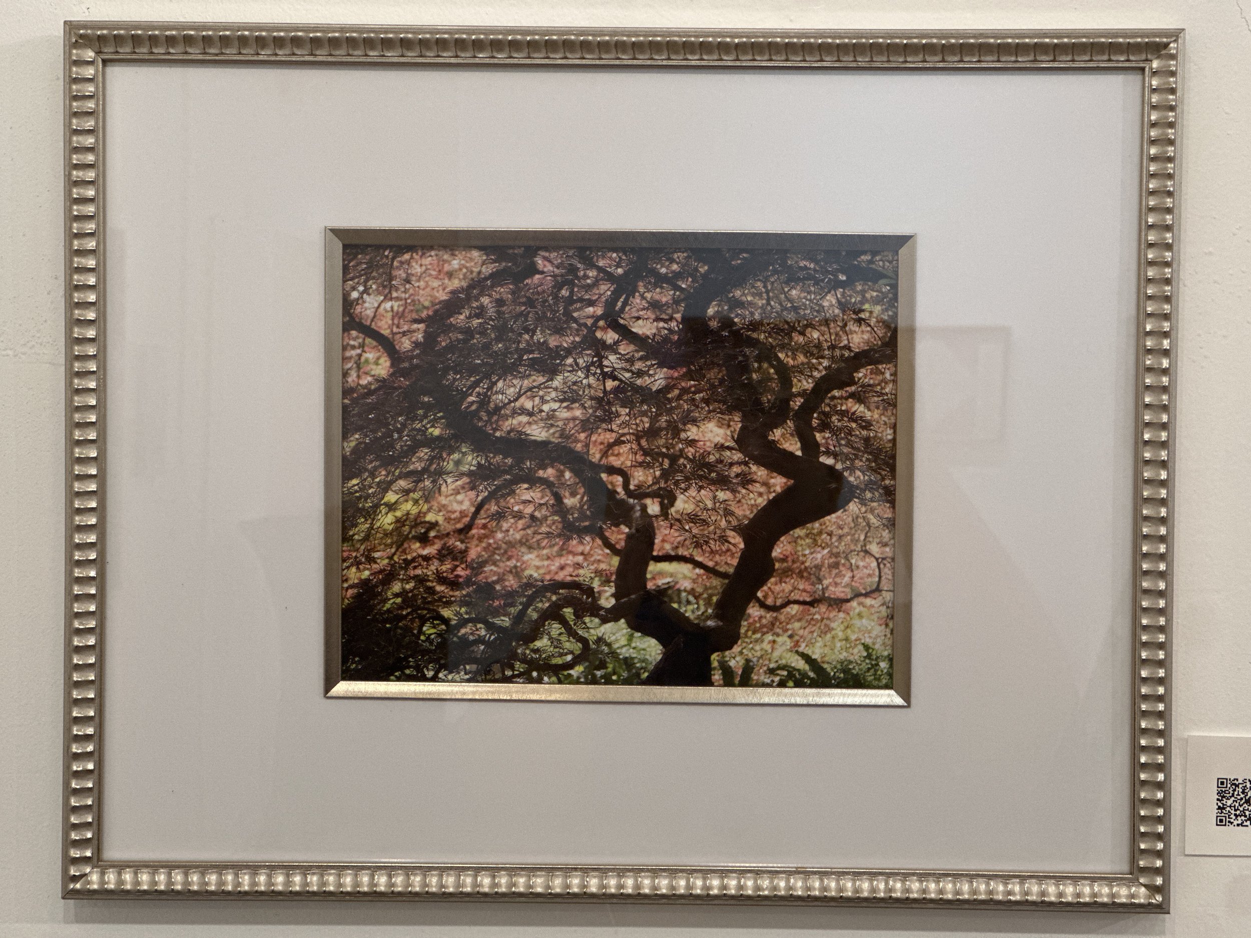 "Japanese Garden" by Don Salvo
