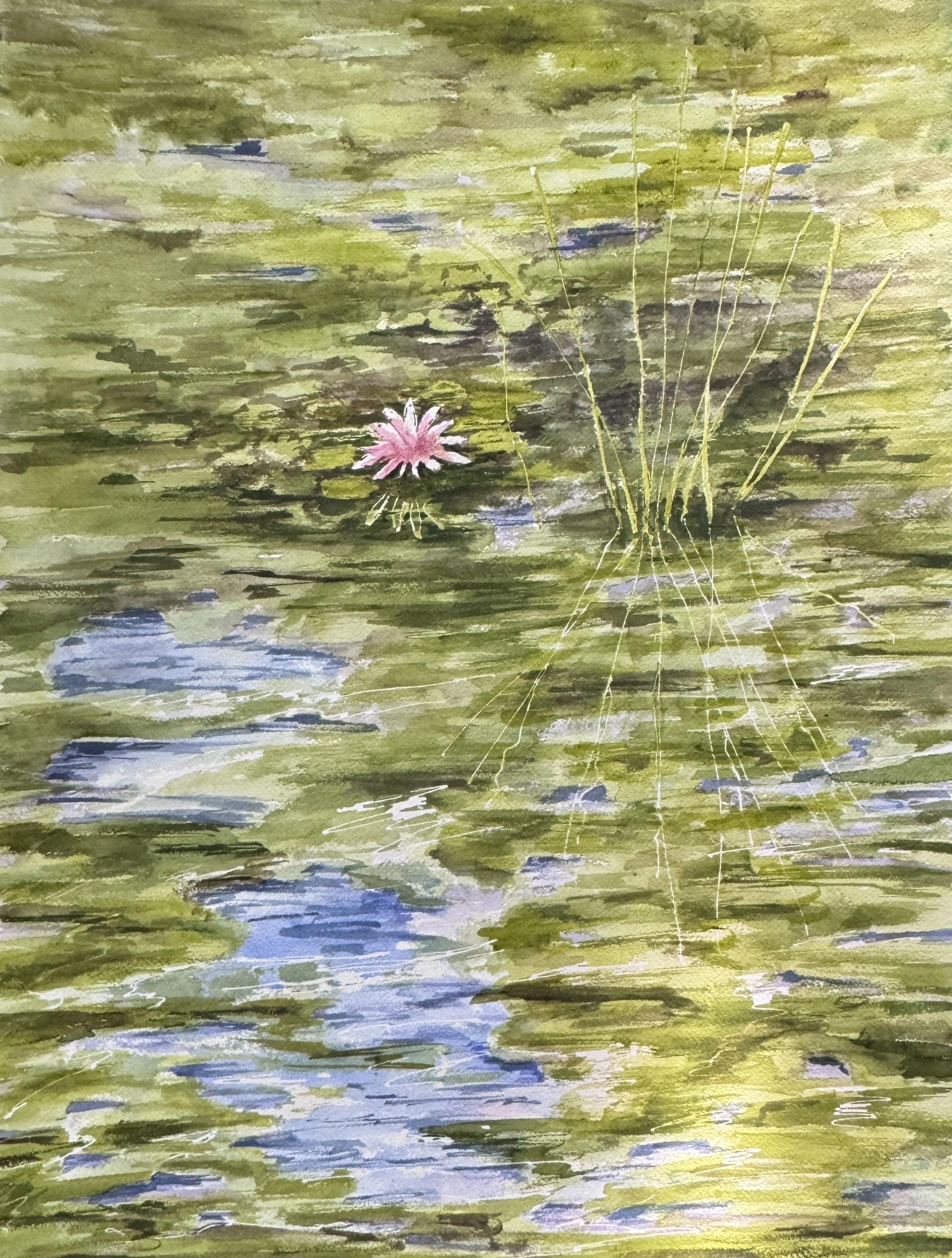 Tomczeszyn.LotusPond.H24W18.watercoloronpaper.jpg