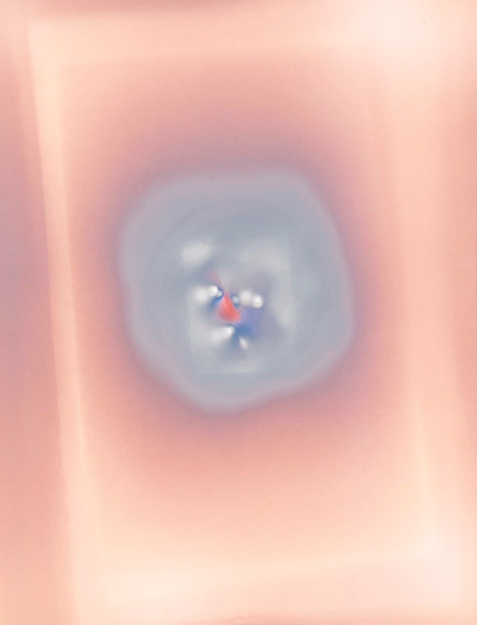 Virus 2.jpeg