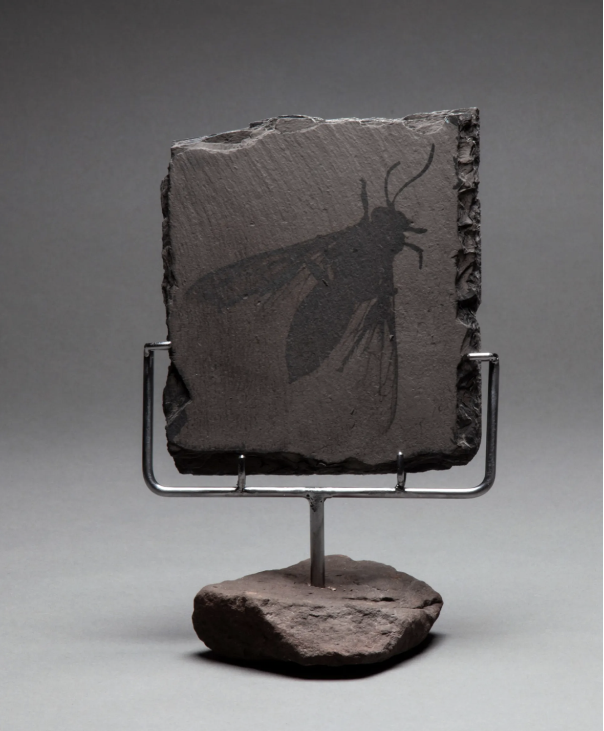 "Anthropocene 4" by Bill Westheimer